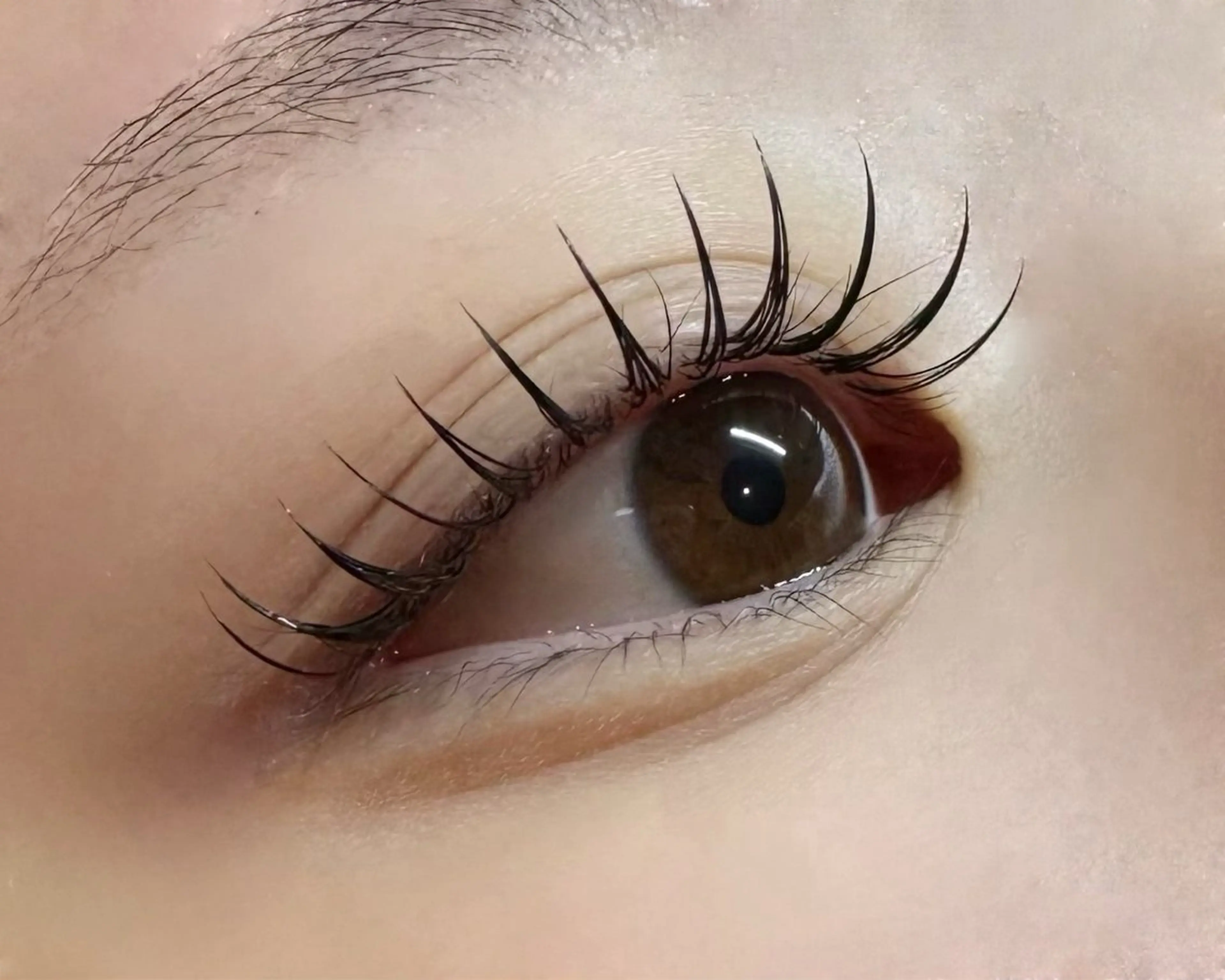 プラチナセーブル*120本の写真