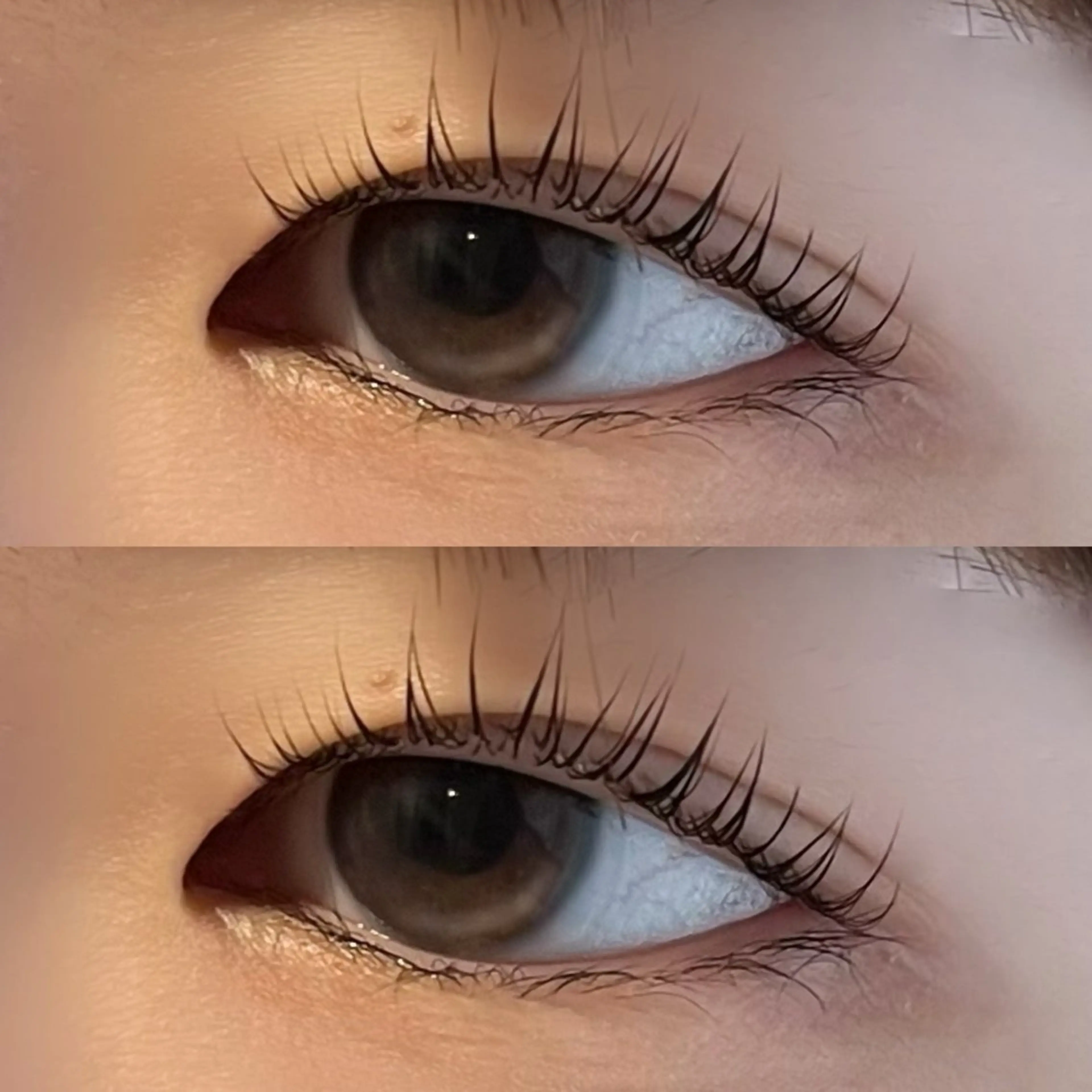 マツエク・マツパ eyelash  resort Melia所属・🤍 rinka🤍のマツエク・マツパデザイン