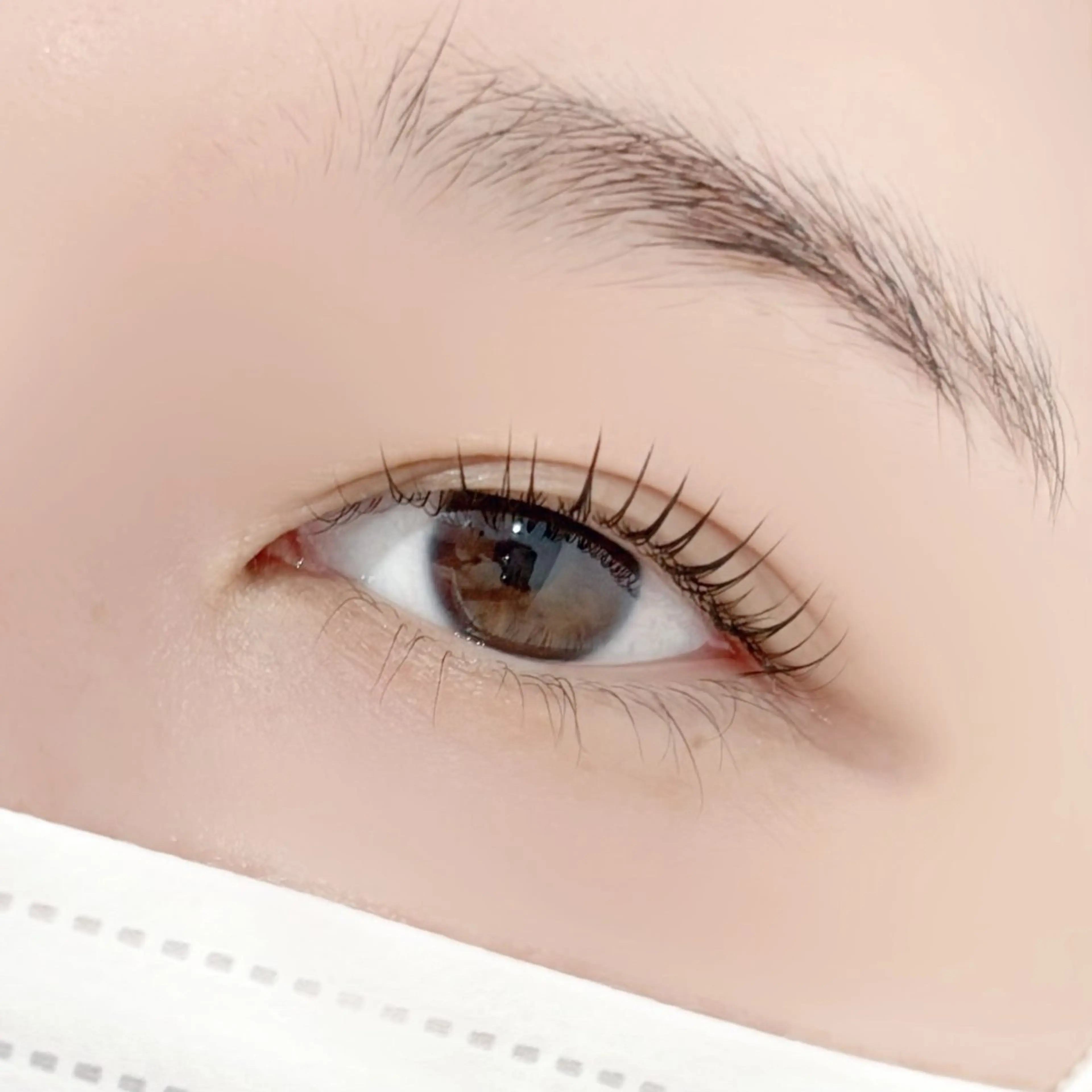 【初回500円off】韓国風🇰🇷上マスカラパーマの写真