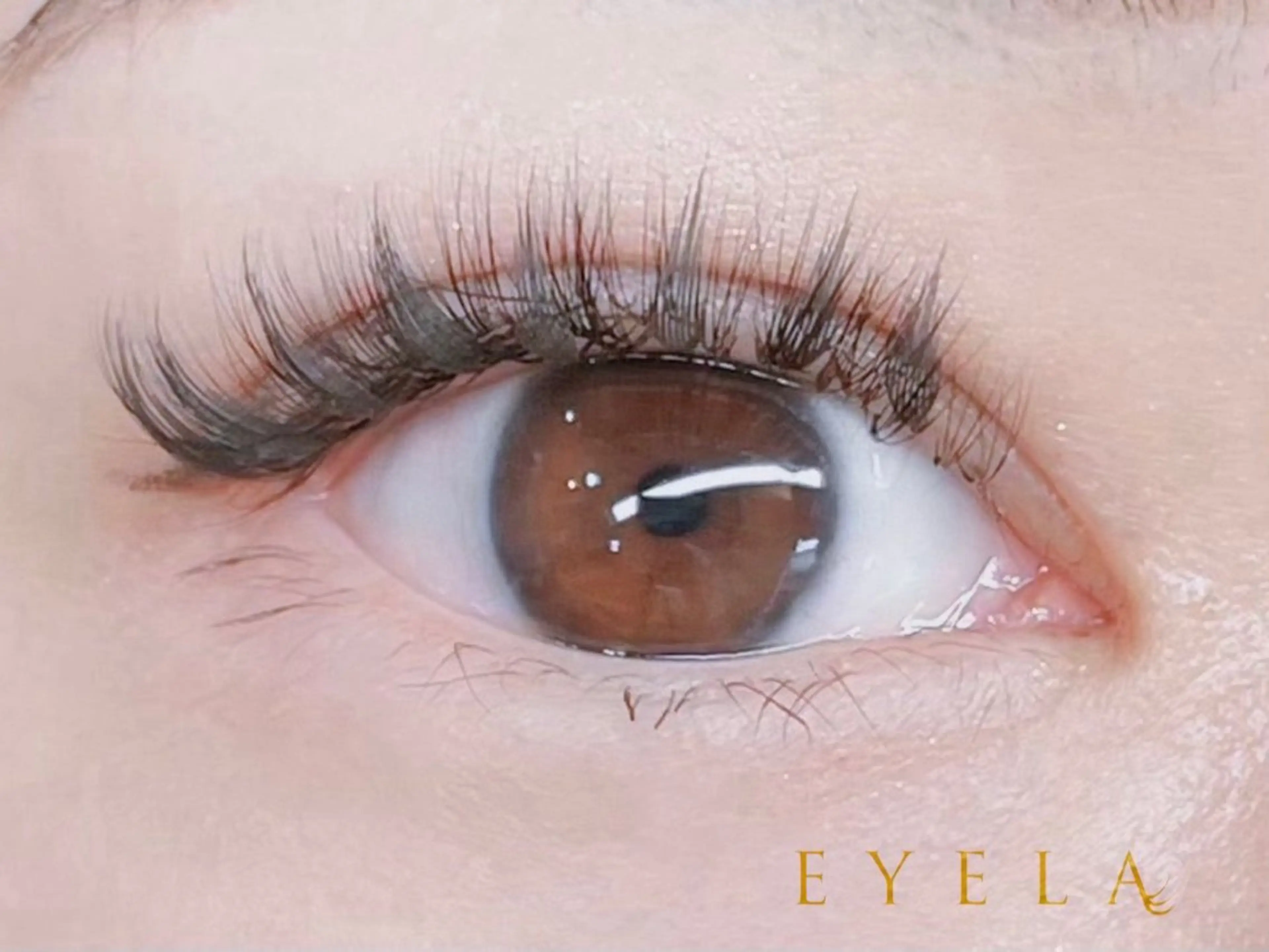 マツエク・マツパ EYELA熊本 YUIのマツエク・マツパデザイン