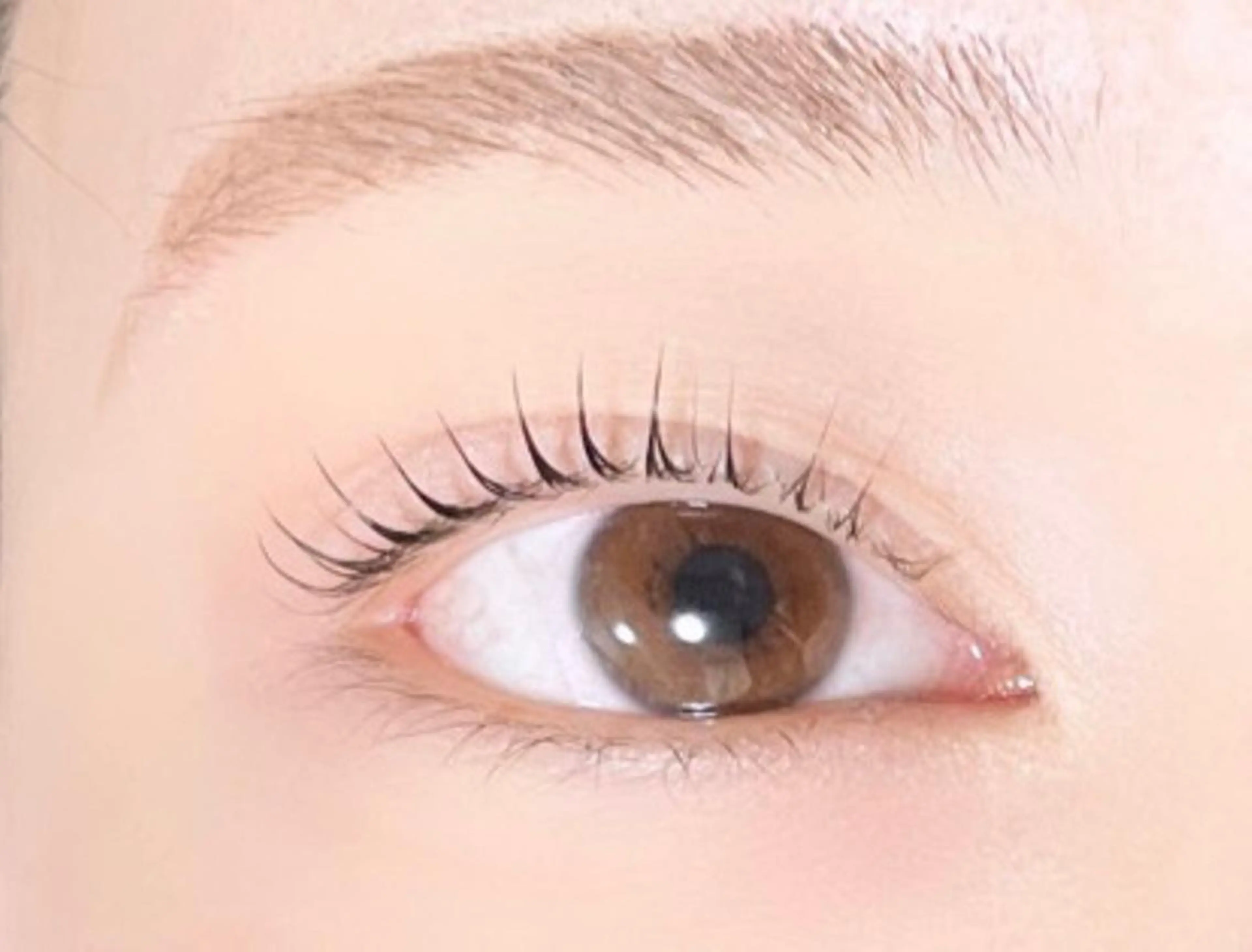 マツエク・マツパ パリジェンヌラッシュリフト TAKEO🖤 マリーテレジア藤が丘のマツエク・マツパデザイン