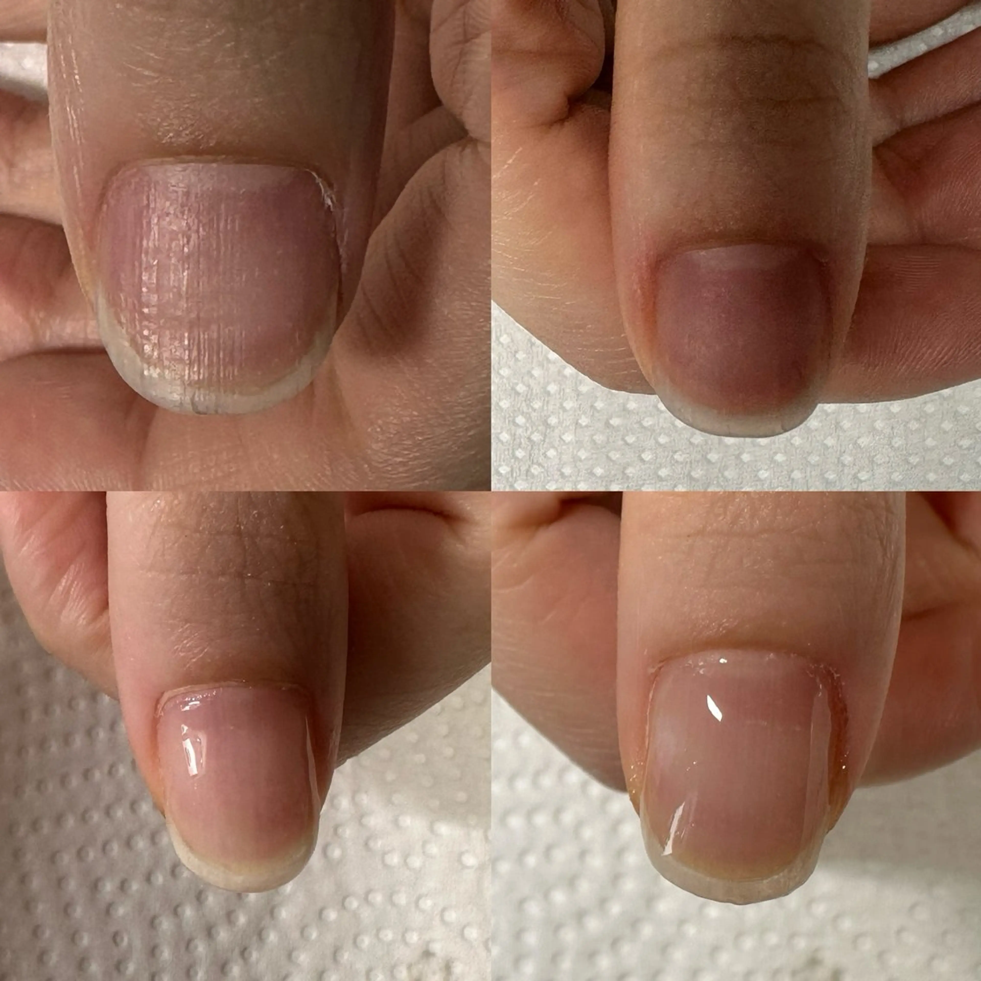 ネイル クリアネイル ジェルネイル ネイルケアサロン Campanulaのネイルデザイン