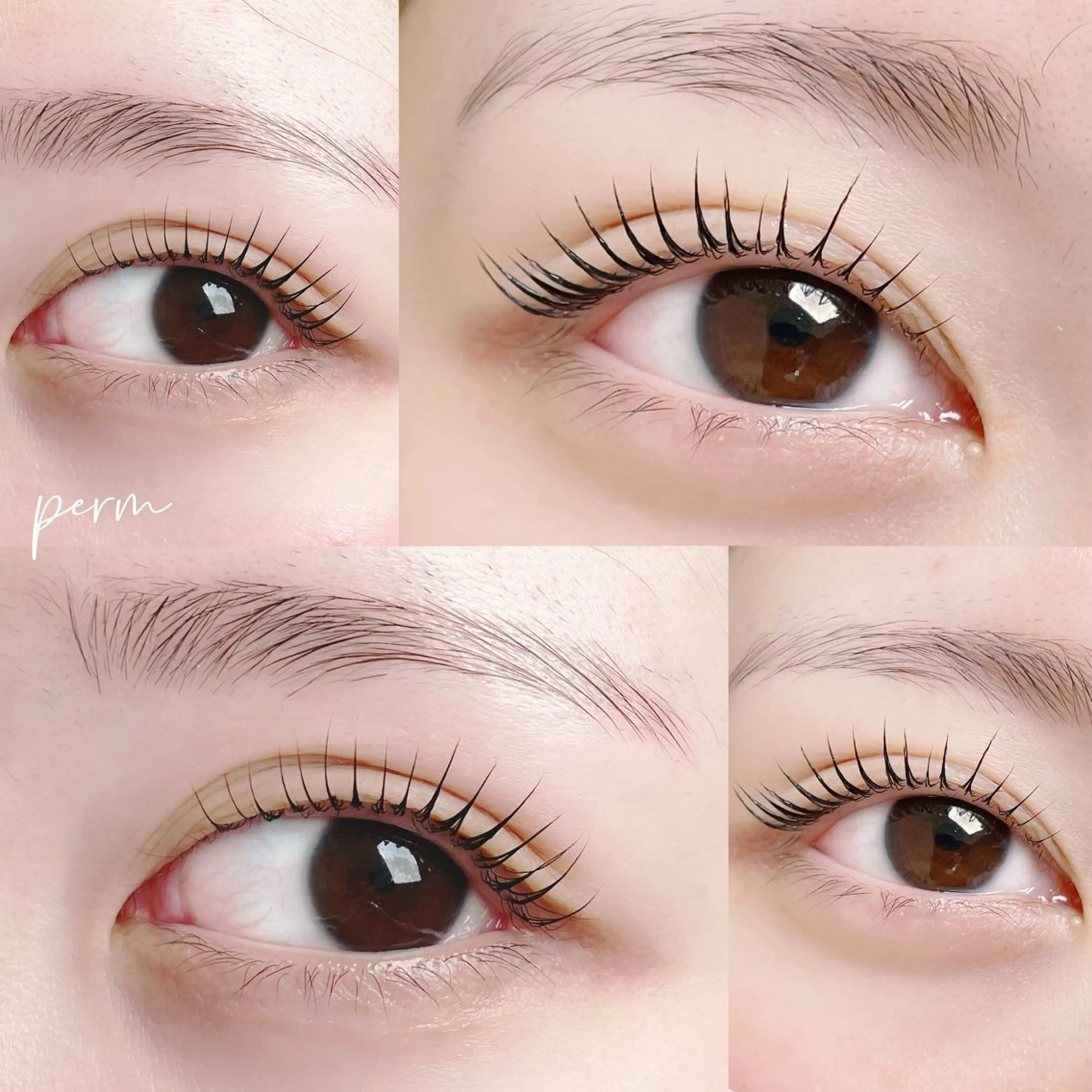 マツエク・マツパ muse momoのマツエク・マツパデザイン