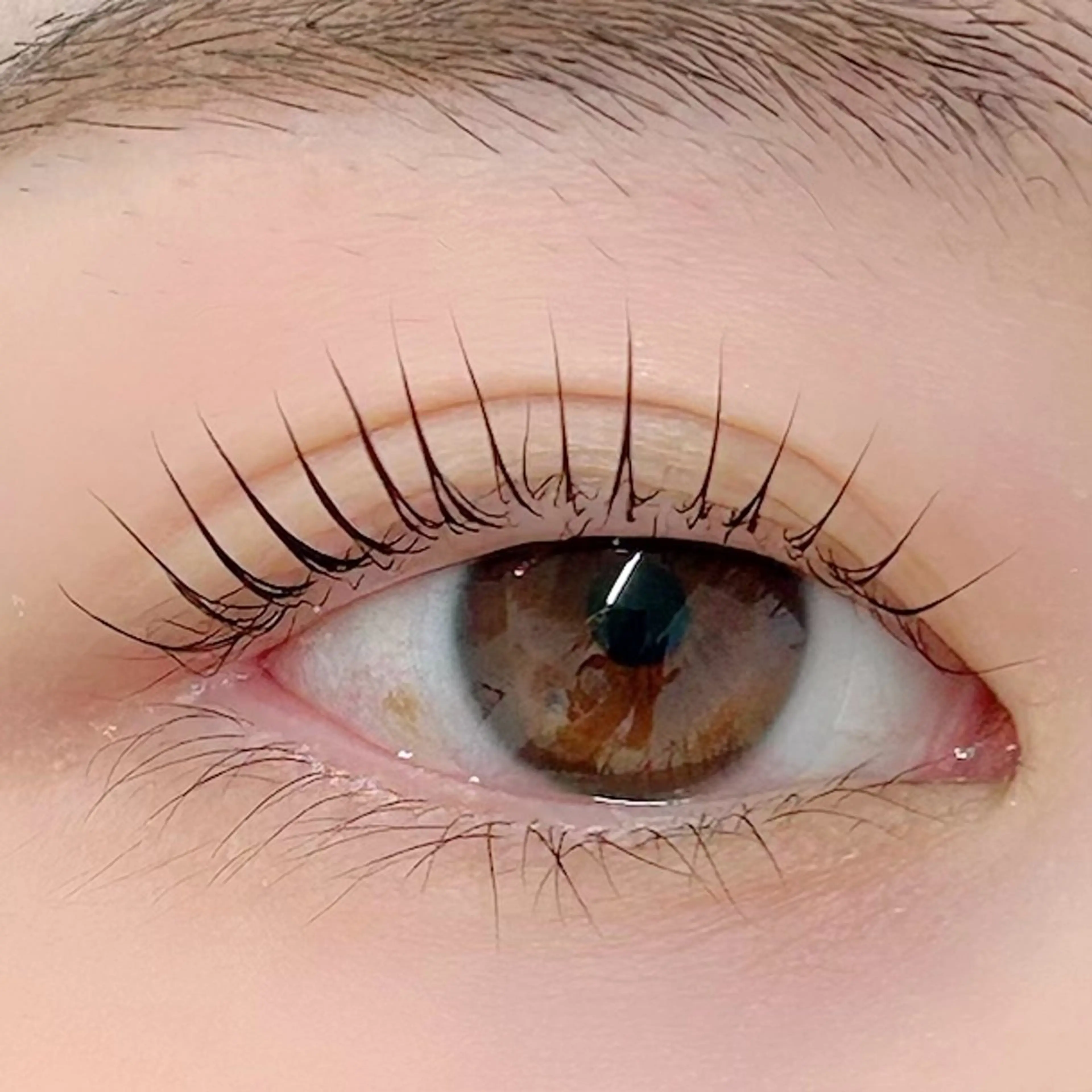 マツエク・マツパ パリジェンヌラッシュリフト 一重×まつ毛パーマ BellFlower Aki（眉・まつげ）のマツエク・マツパデザイン