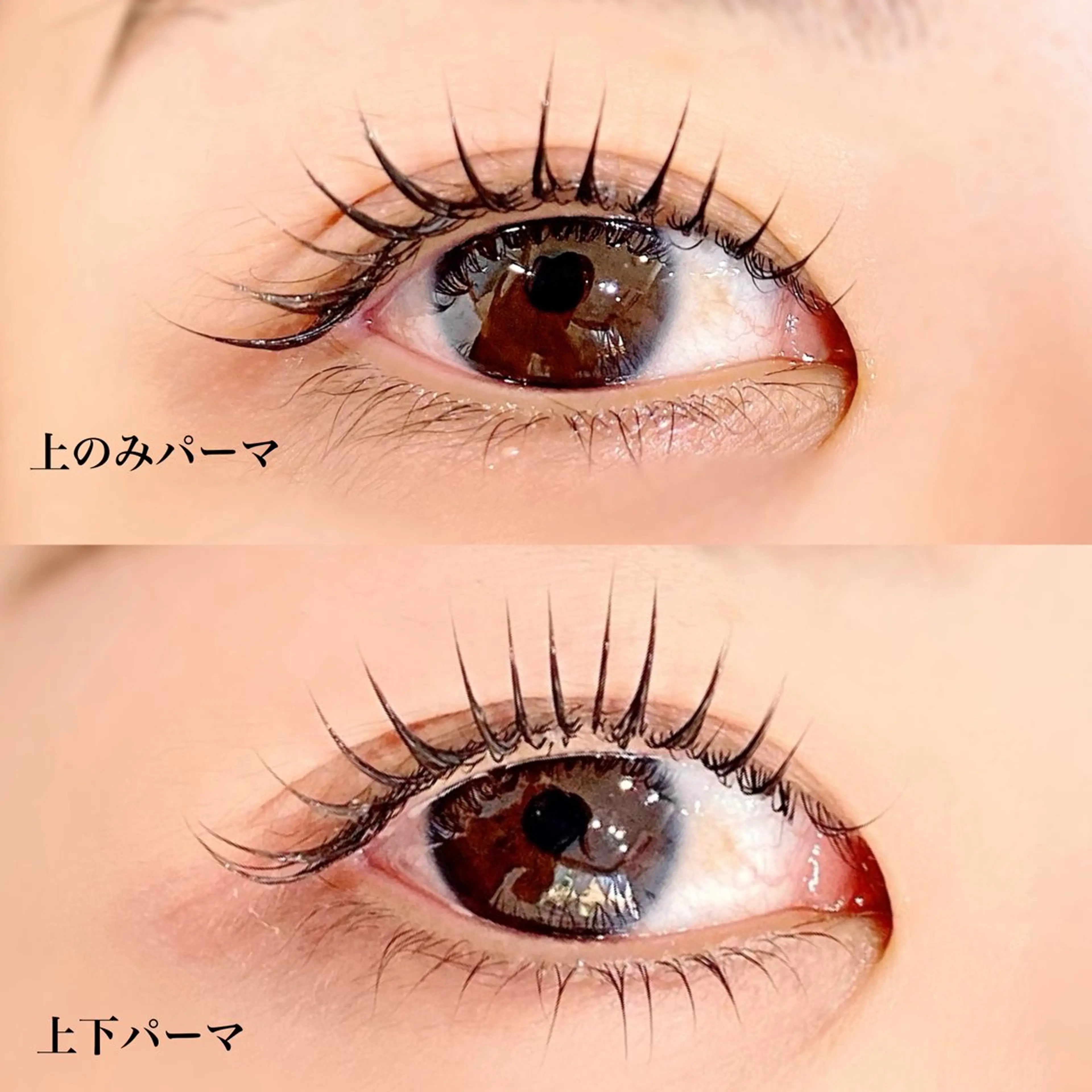 マツエク・マツパ まつげパーマ jolif池袋店所属・Rune 《池袋》のマツエク・マツパデザイン
