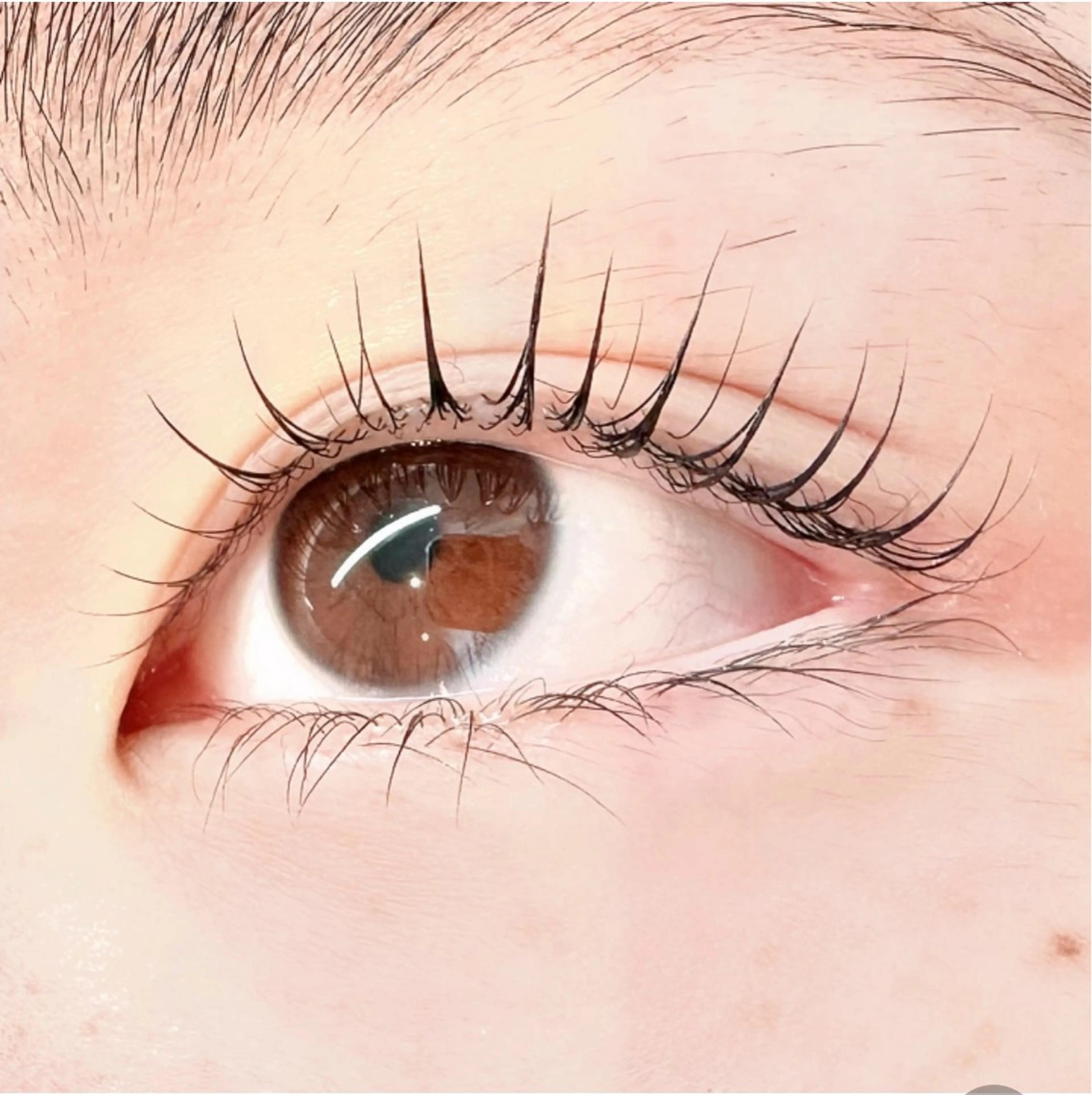 まつ毛パーマ上下🍒💕の写真