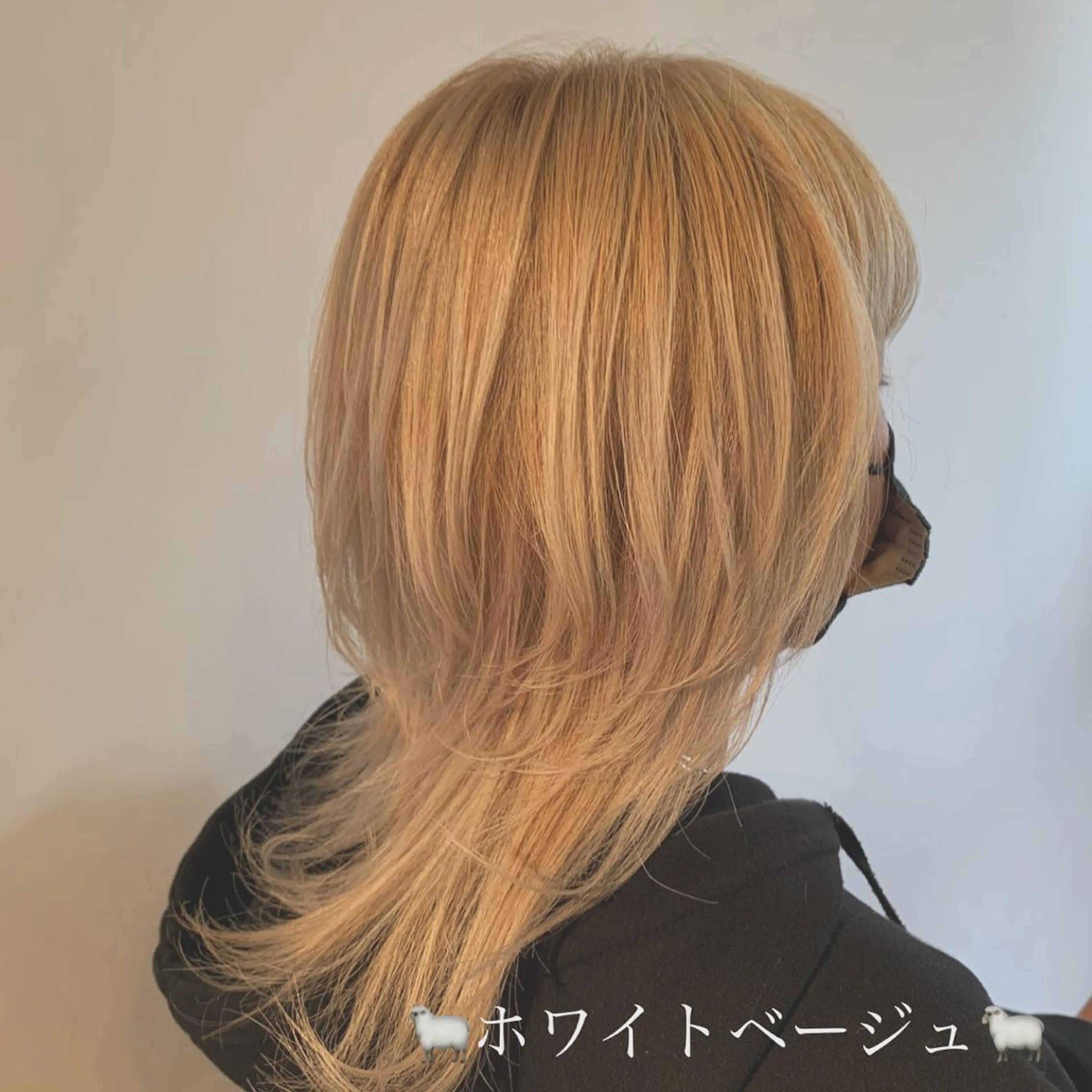 ミディアム 園 冬稀のヘアスタイル