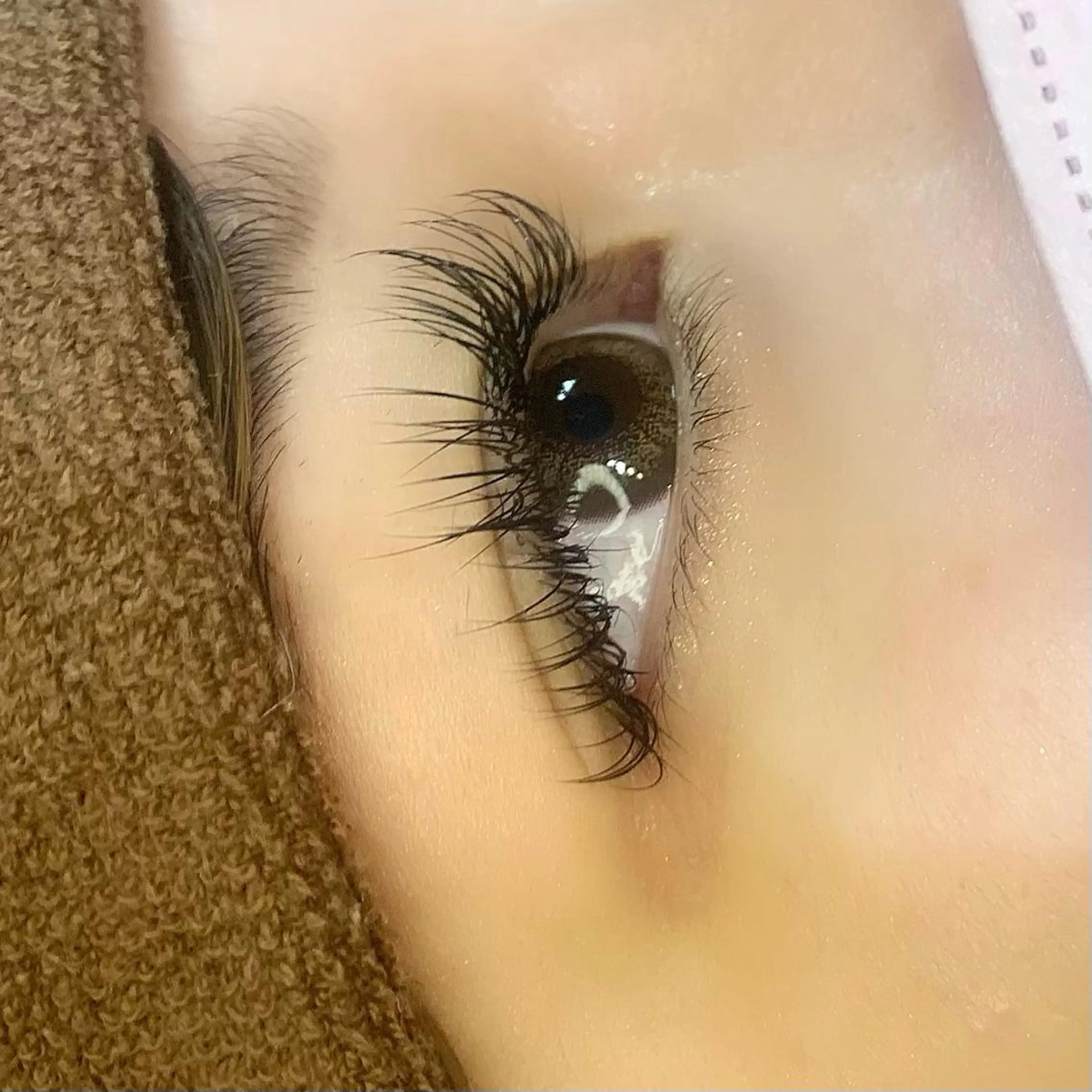 マツエク・マツパ Celeste Venus所属・🧸Celeste Venusのマツエク・マツパデザイン