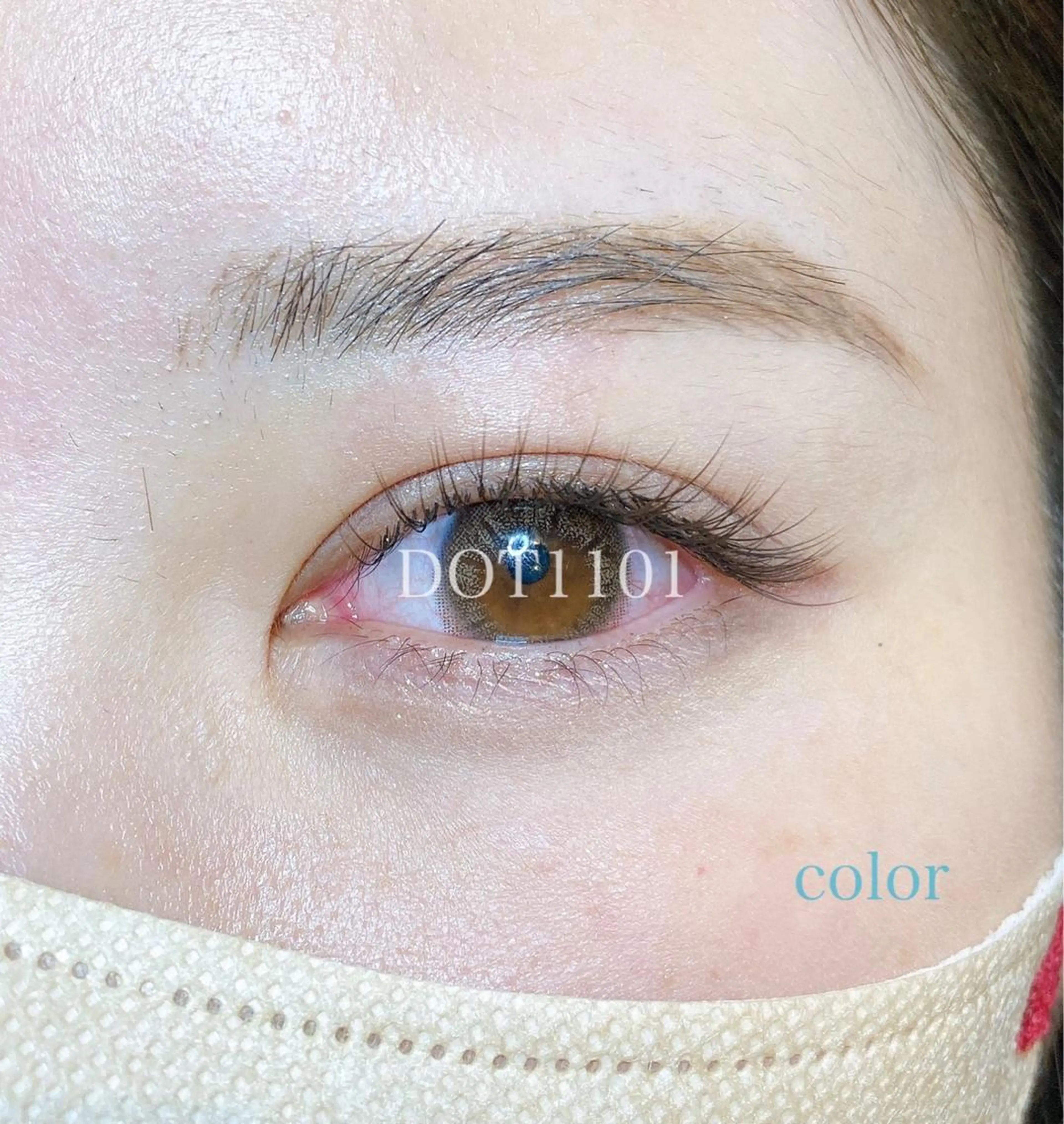 カラー ブラウンカラー ダークブラウン DOT1101 asami🌼のマツエク・マツパデザイン