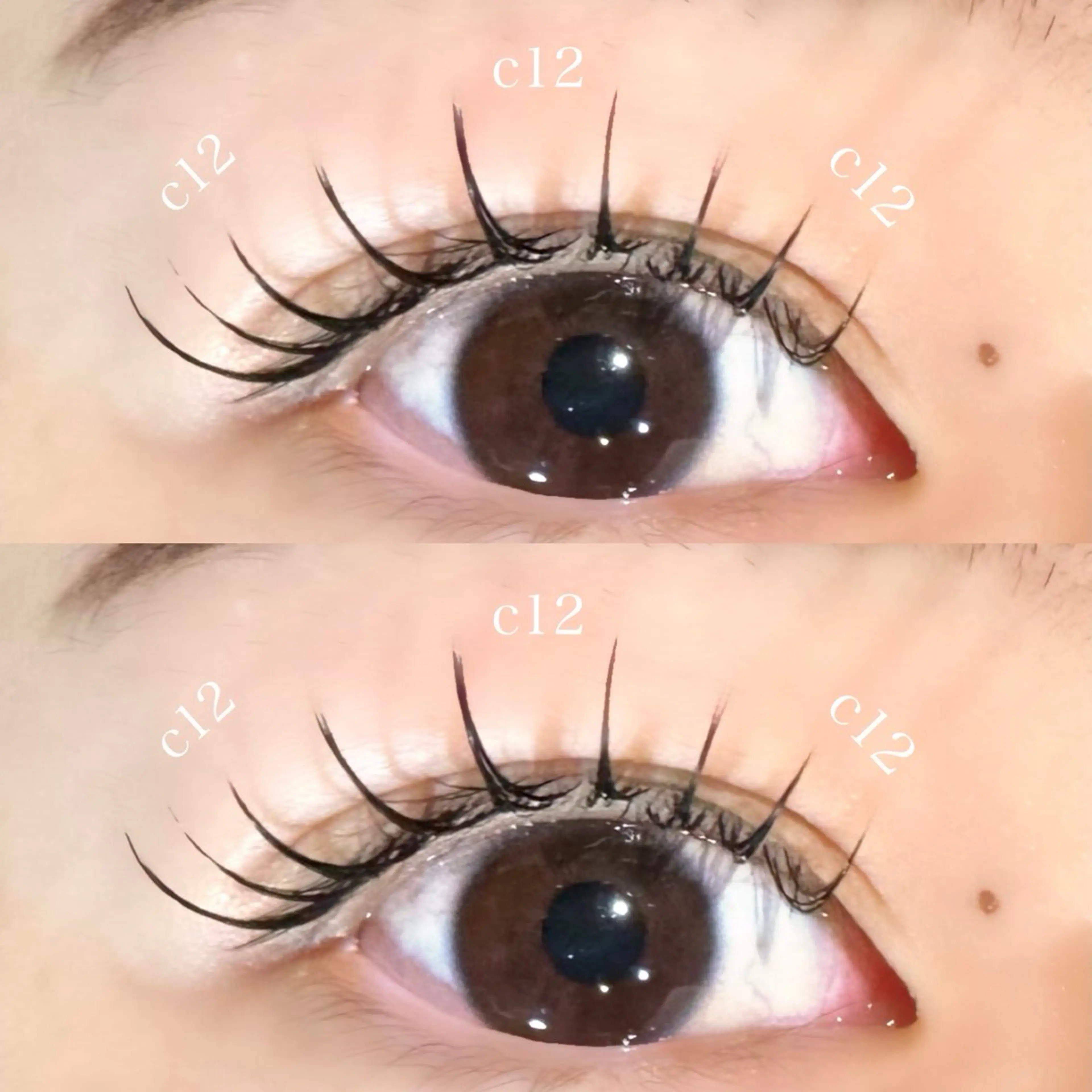 マツエク・マツパ マツエク Rena 泉中央のマツエク・マツパデザイン