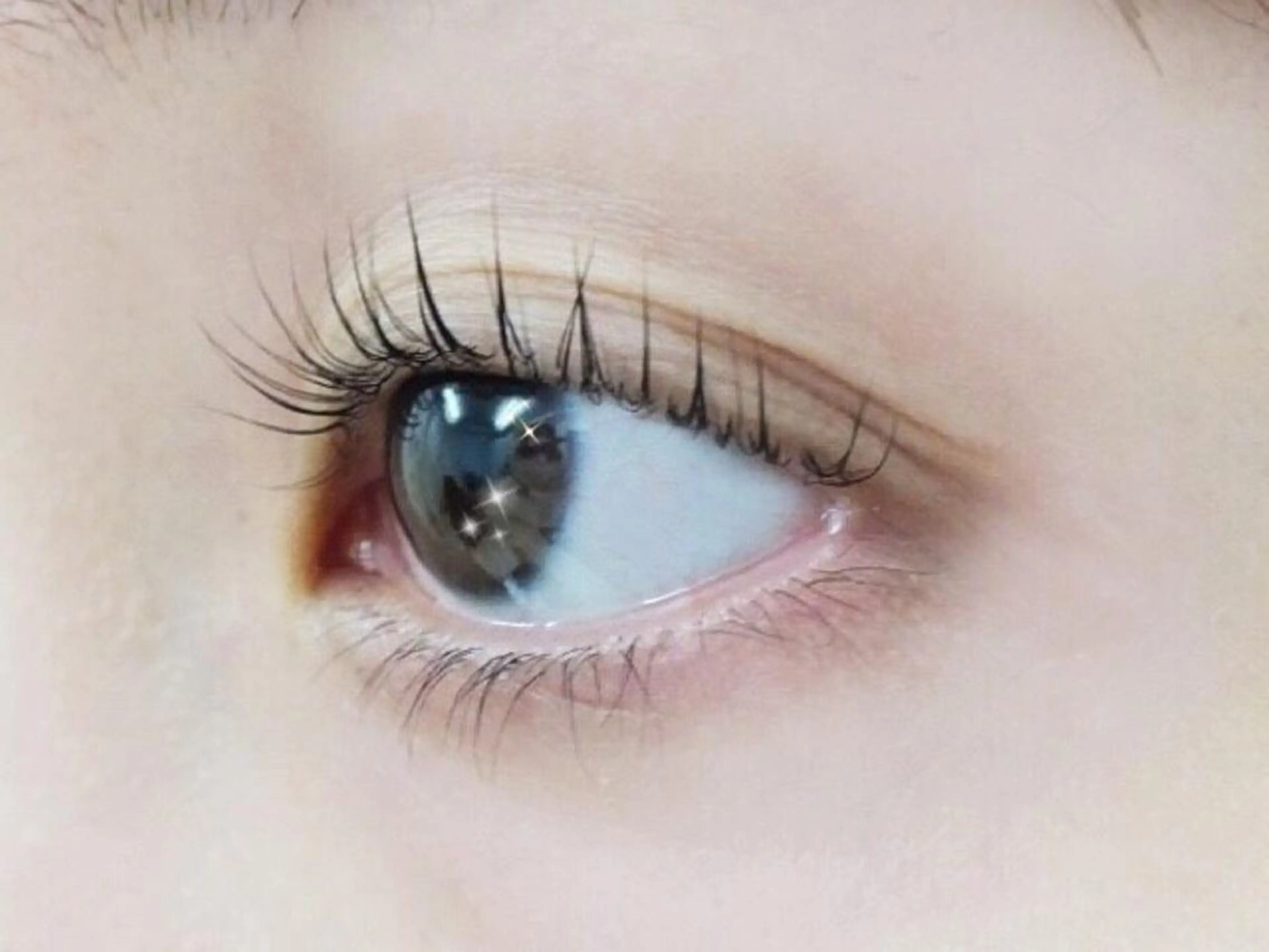 マツエク・マツパ 🖤コモリユカ🖤 表参道のマツエク・マツパデザイン