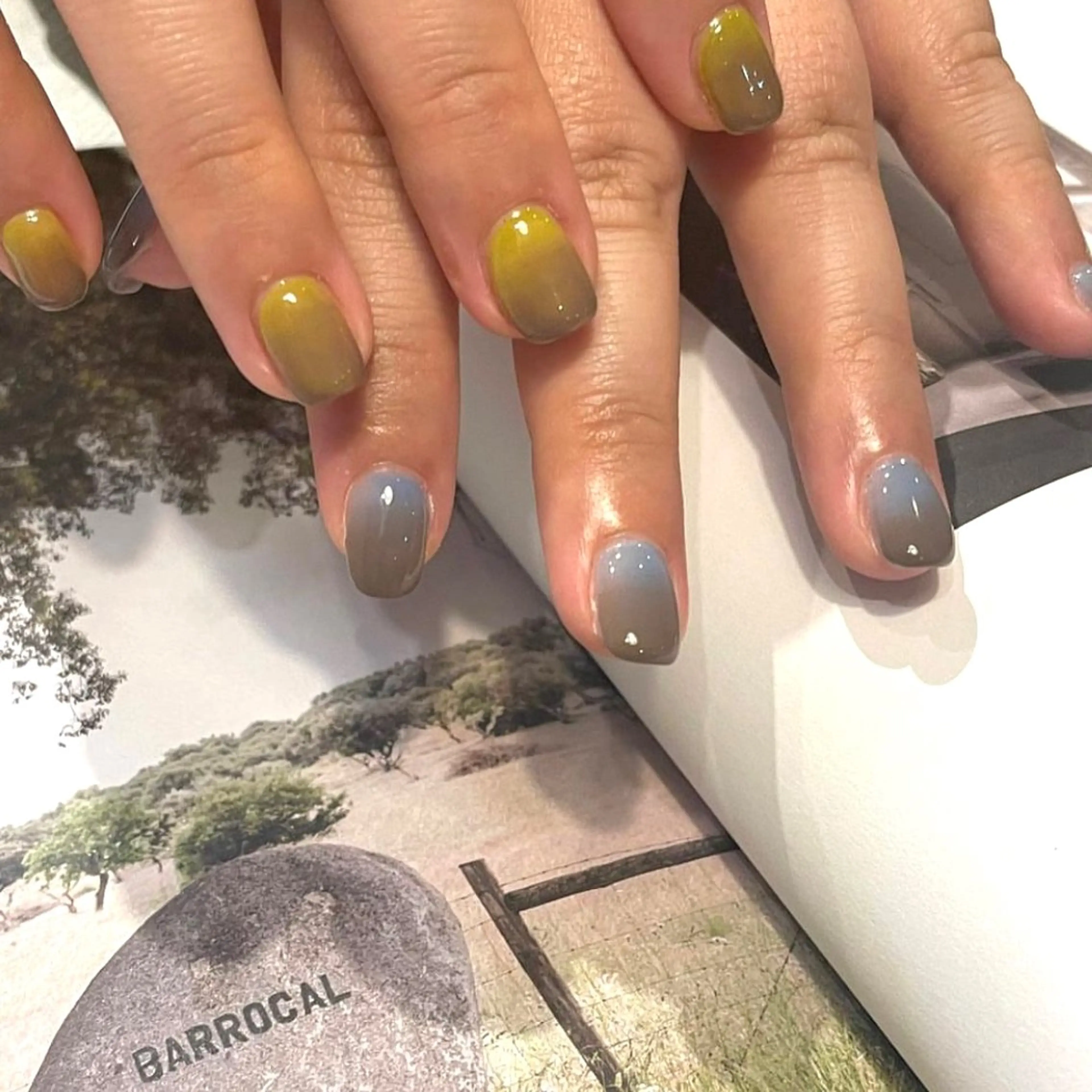 フレンチ・カラグラ7100円(オフなし)の写真