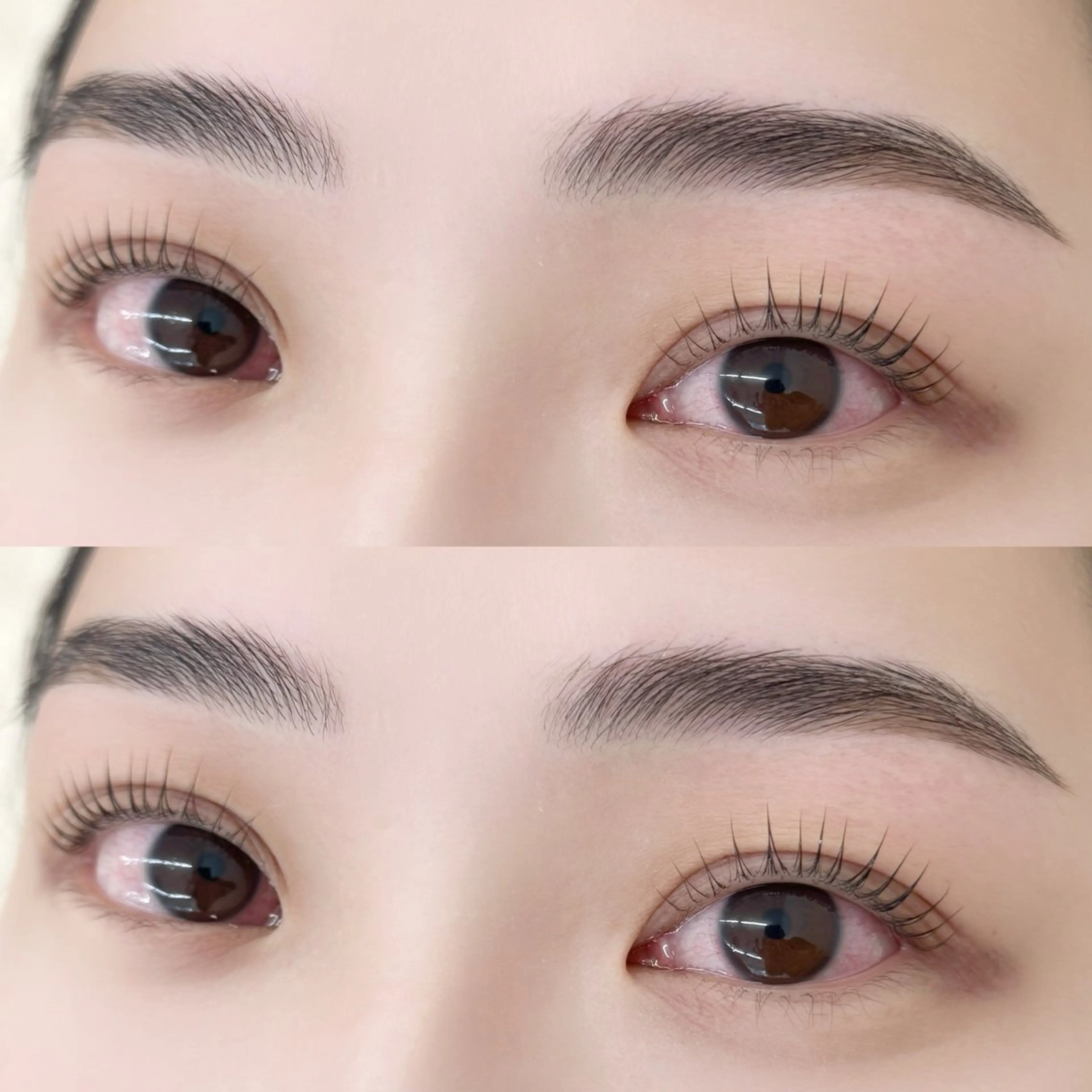 ハリウッドブロウリフト（眉パーマ）＋パリジェンヌラッシュリフト🌱　🩷¥12000🩷すぐ予約⭕️の写真