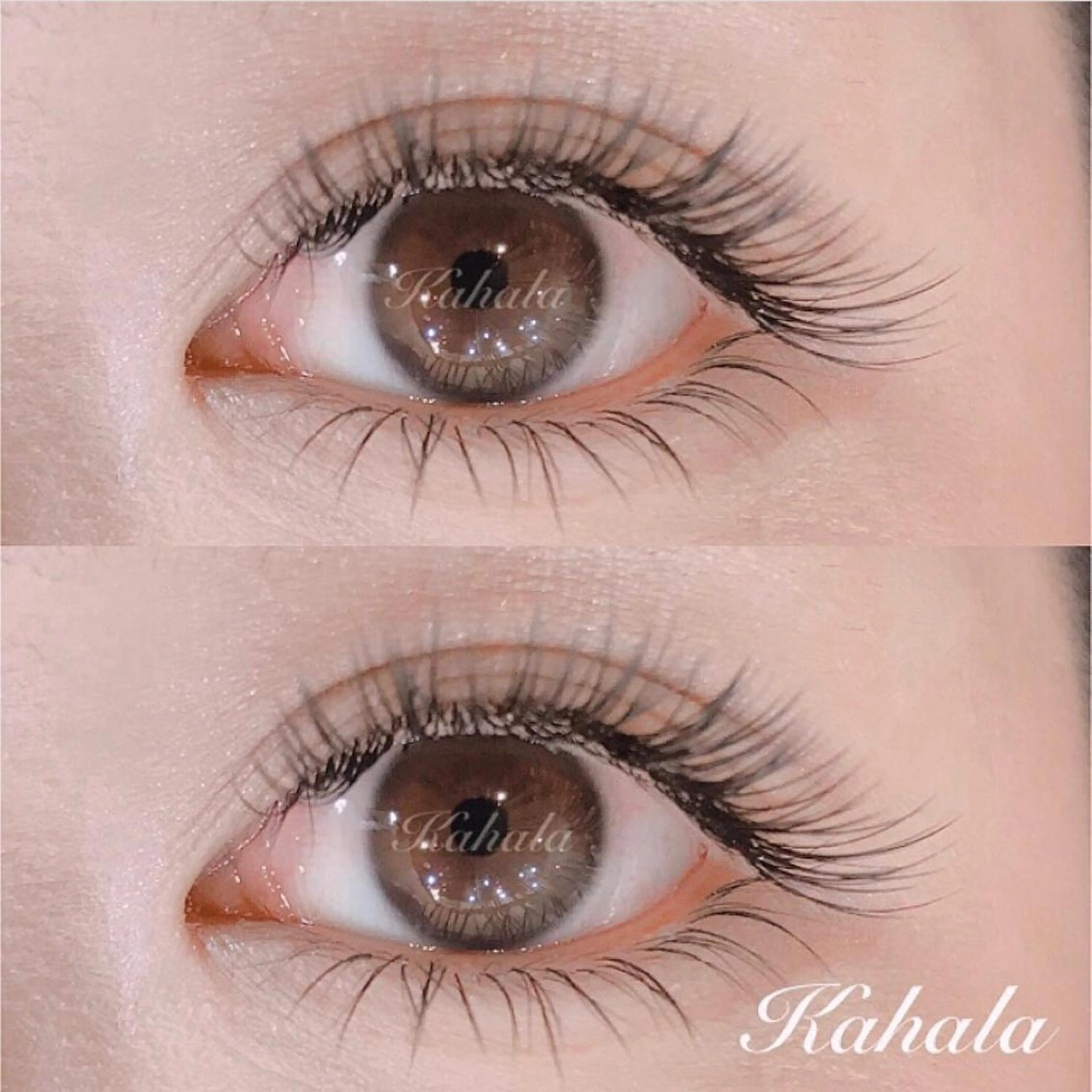 マツエク・マツパ Fujimoto 🦭⸝⋆꙳のマツエク・マツパデザイン