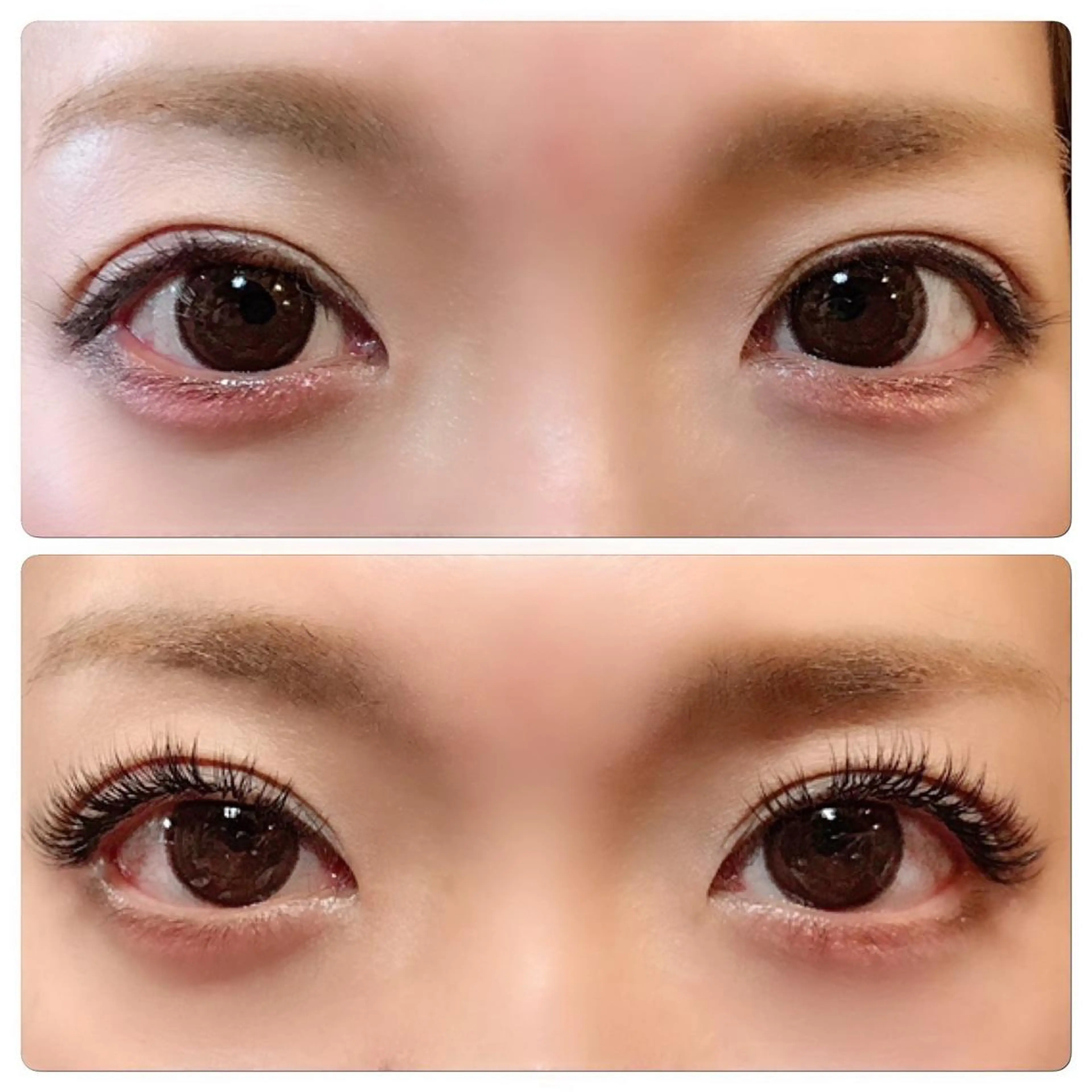 マツエク・マツパ PRIMO🐈🌱 マツパ/黒ティントのマツエク・マツパデザイン