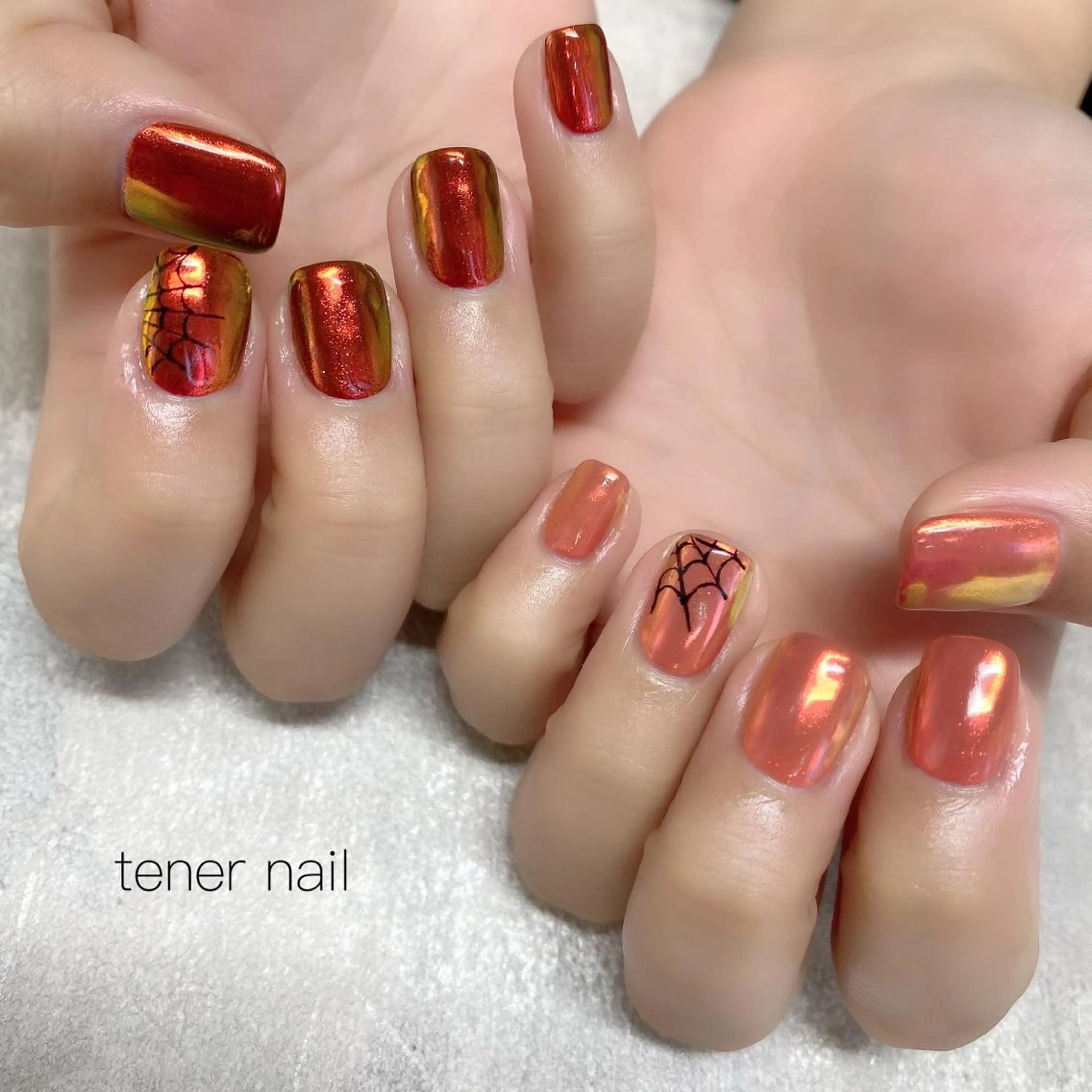 ネイル オーロラネイル tener  nail  テネルネイル所属・テネルネイル tener nailのネイルデザイン