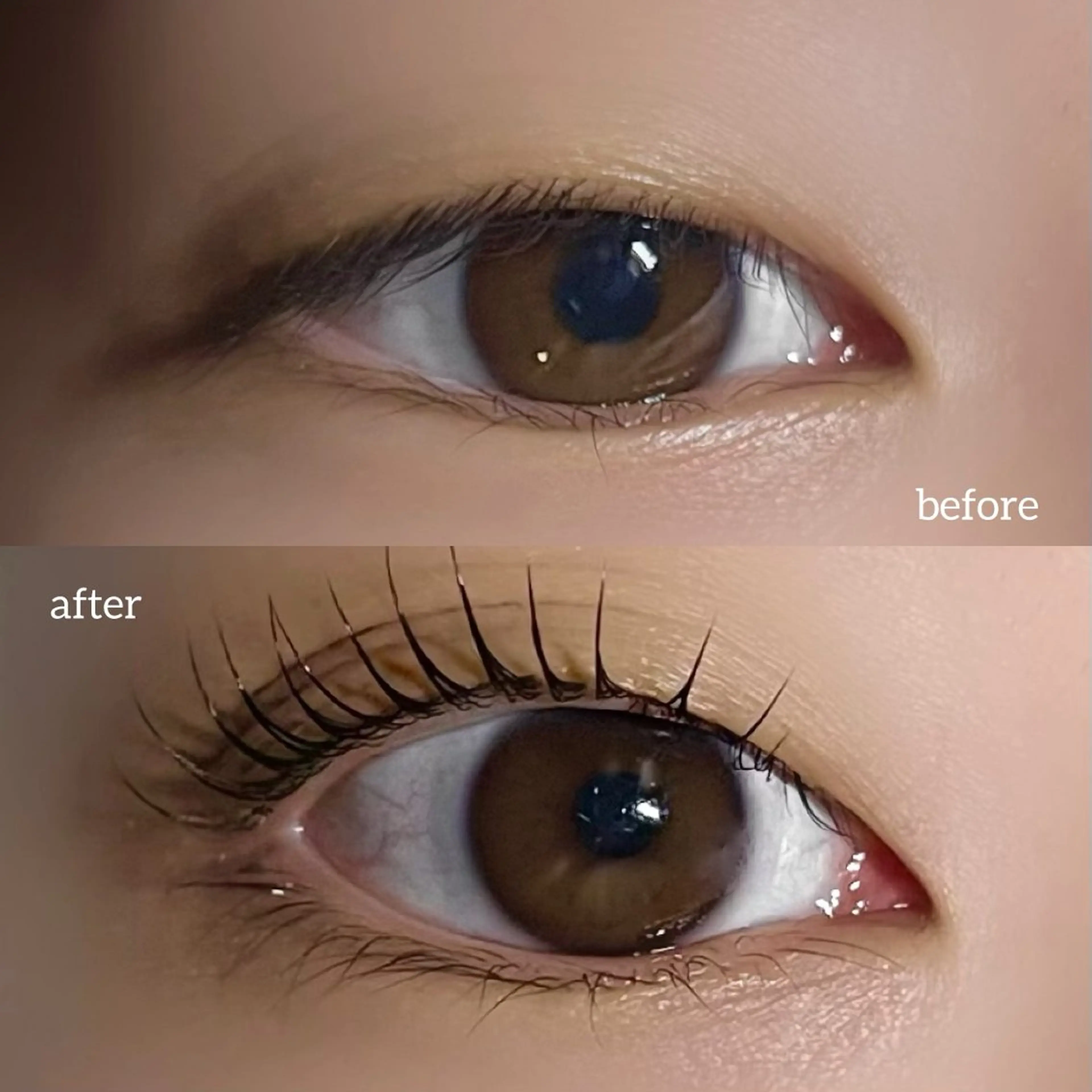 マツエク・マツパ 垢抜け眉WAX専門 ちゅるんまつげ|鎌倉の眉毛・アイブロウイメージ