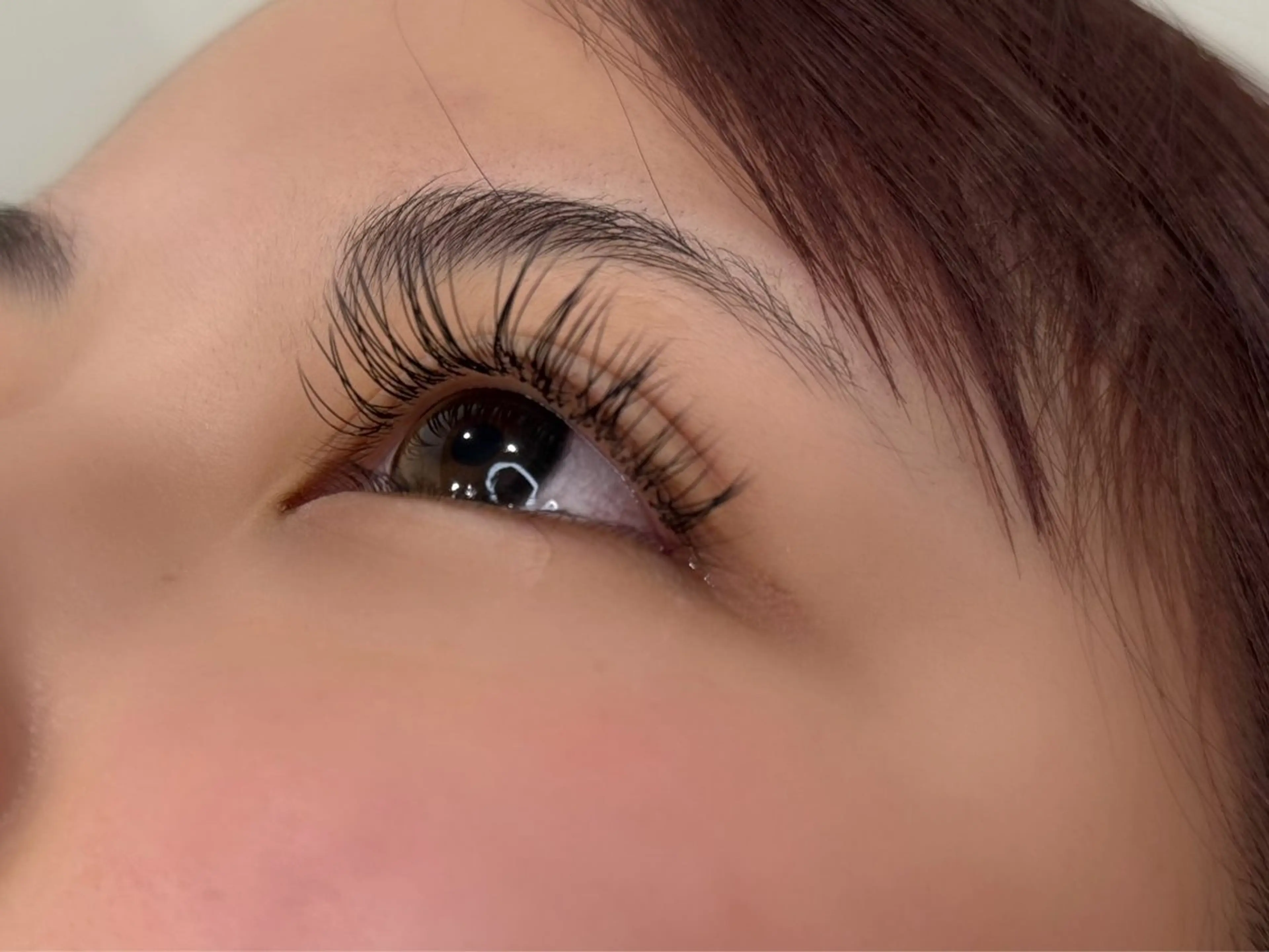 マツエク・マツパ モデル募集🎀 ®️のマツエク・マツパデザイン