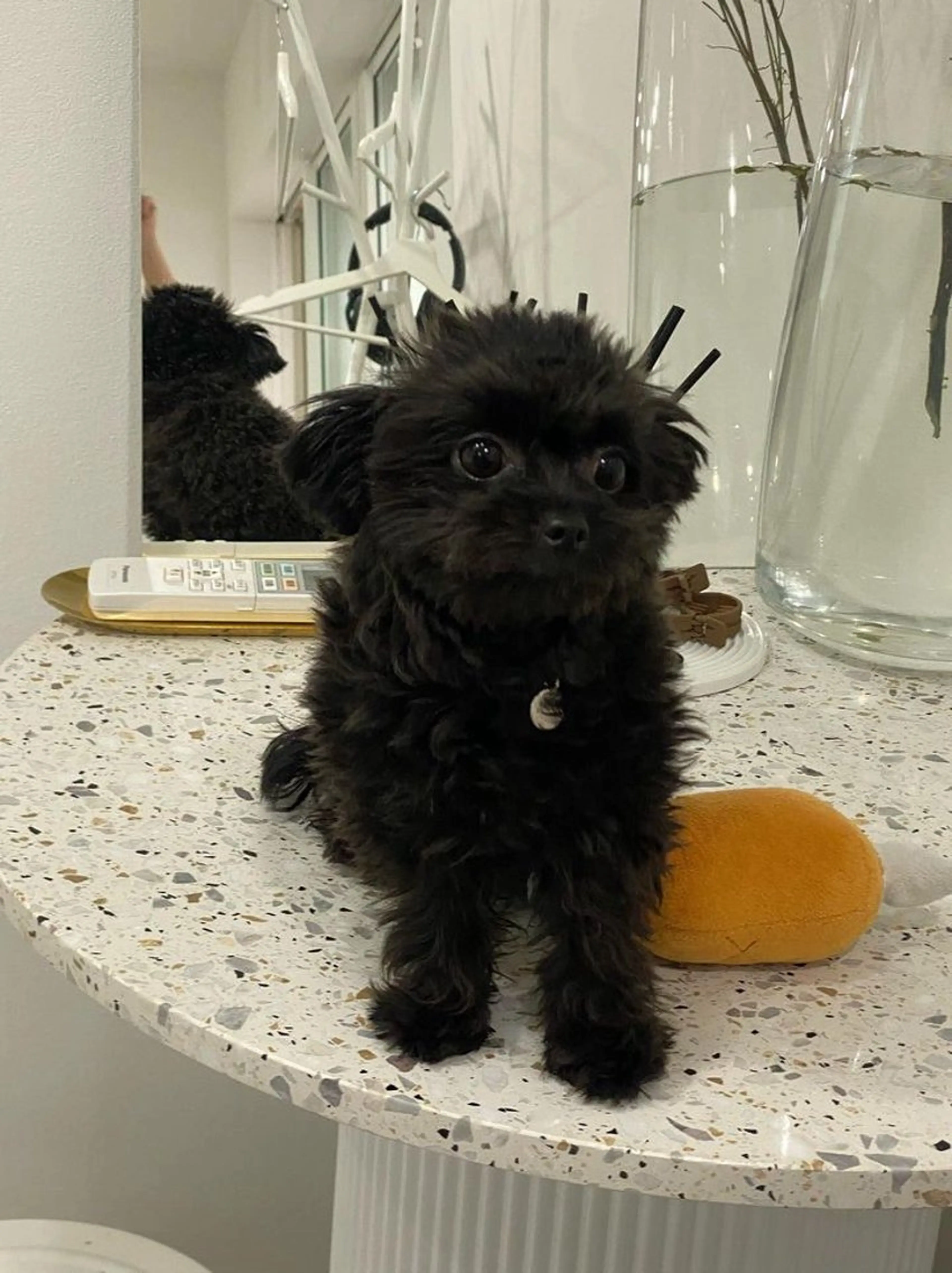 eye salon u-ga所属・eye salon U-ga/中目黒のその他イメージ