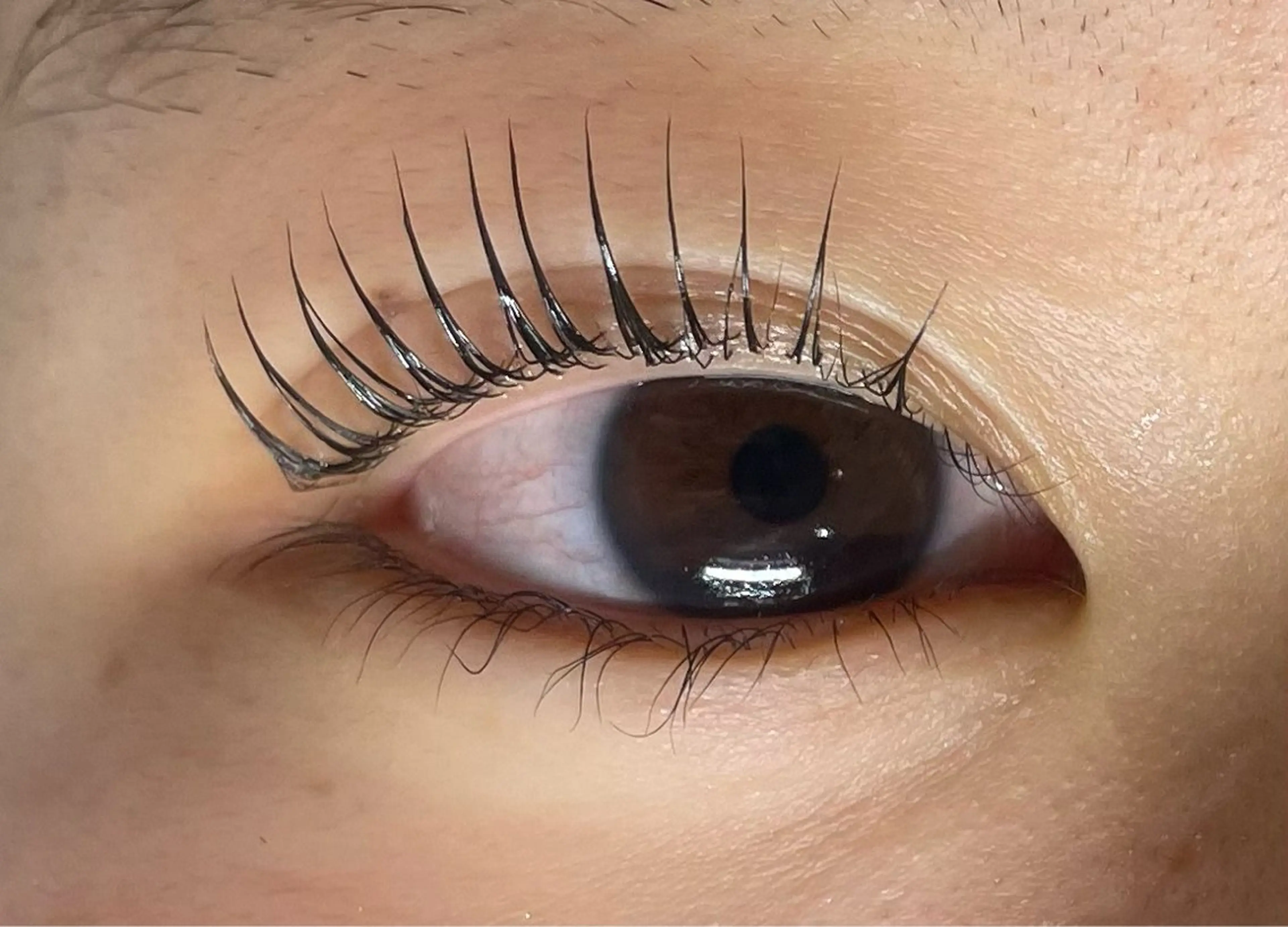 マツエク・マツパ パリジェンヌラッシュリフト Batik 五十嵐のマツエク・マツパデザイン