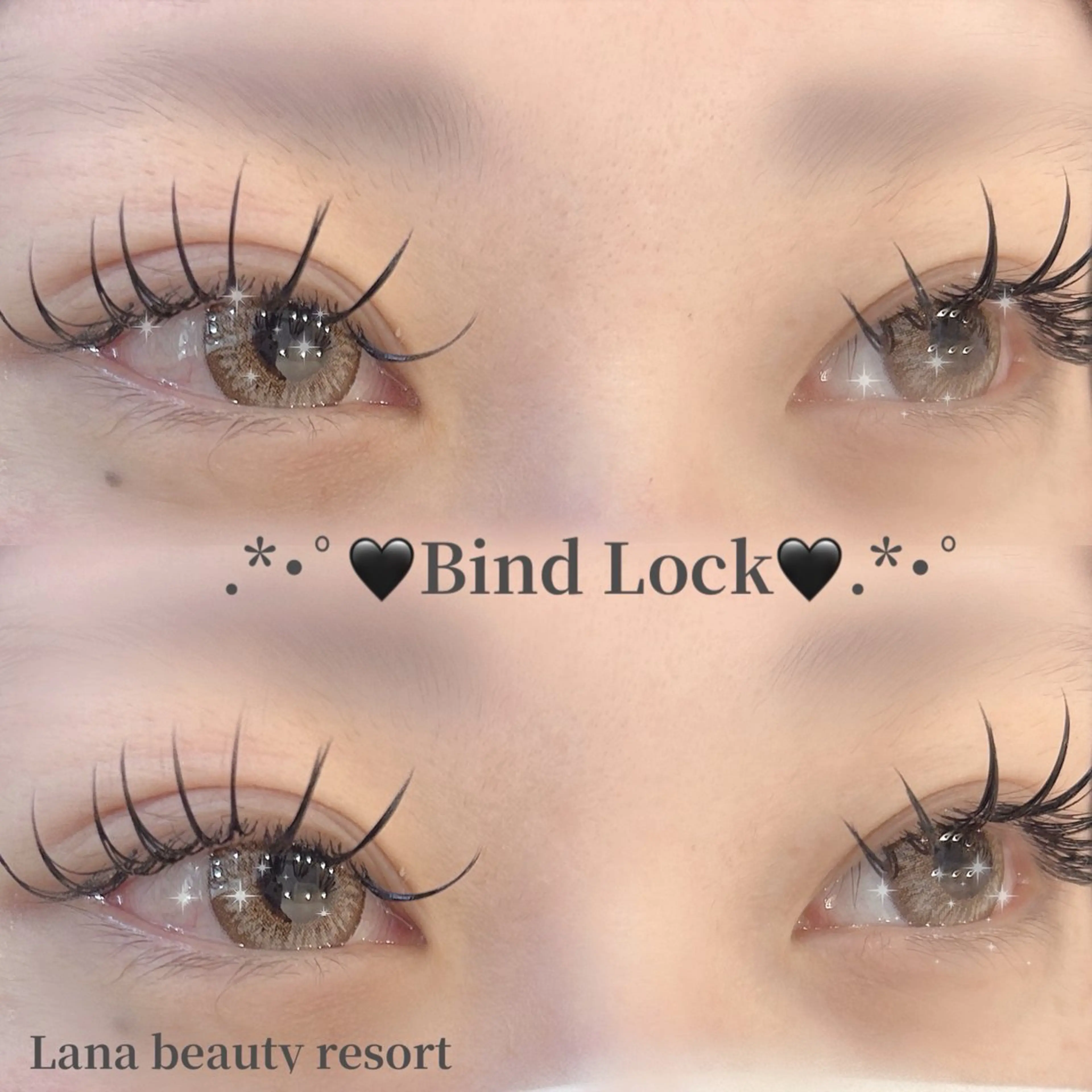 【🖤バインドロック🖤】80束の写真