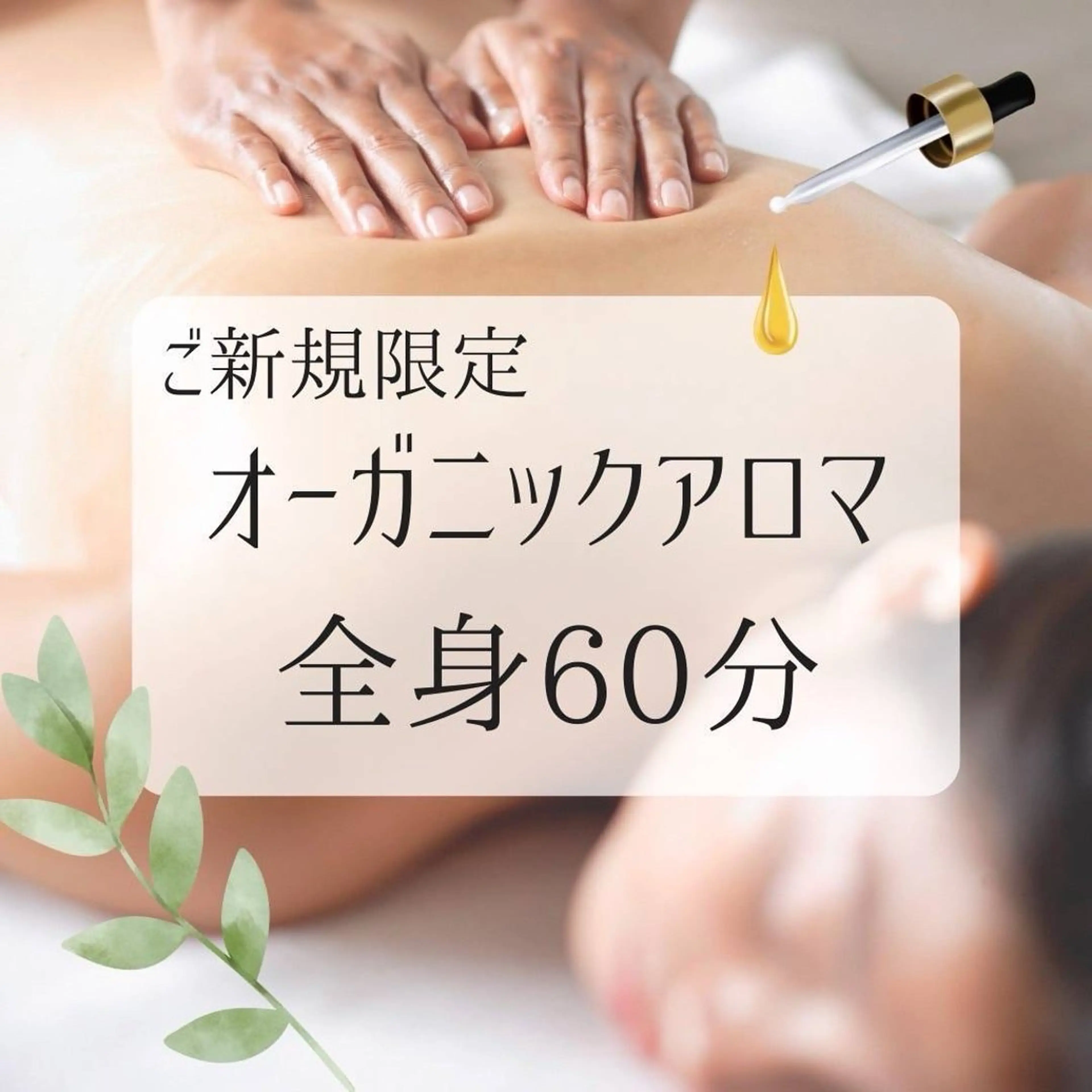 【新規限定】人気No. 1オーガニックアロマトリートメント60分　￥7900の写真
