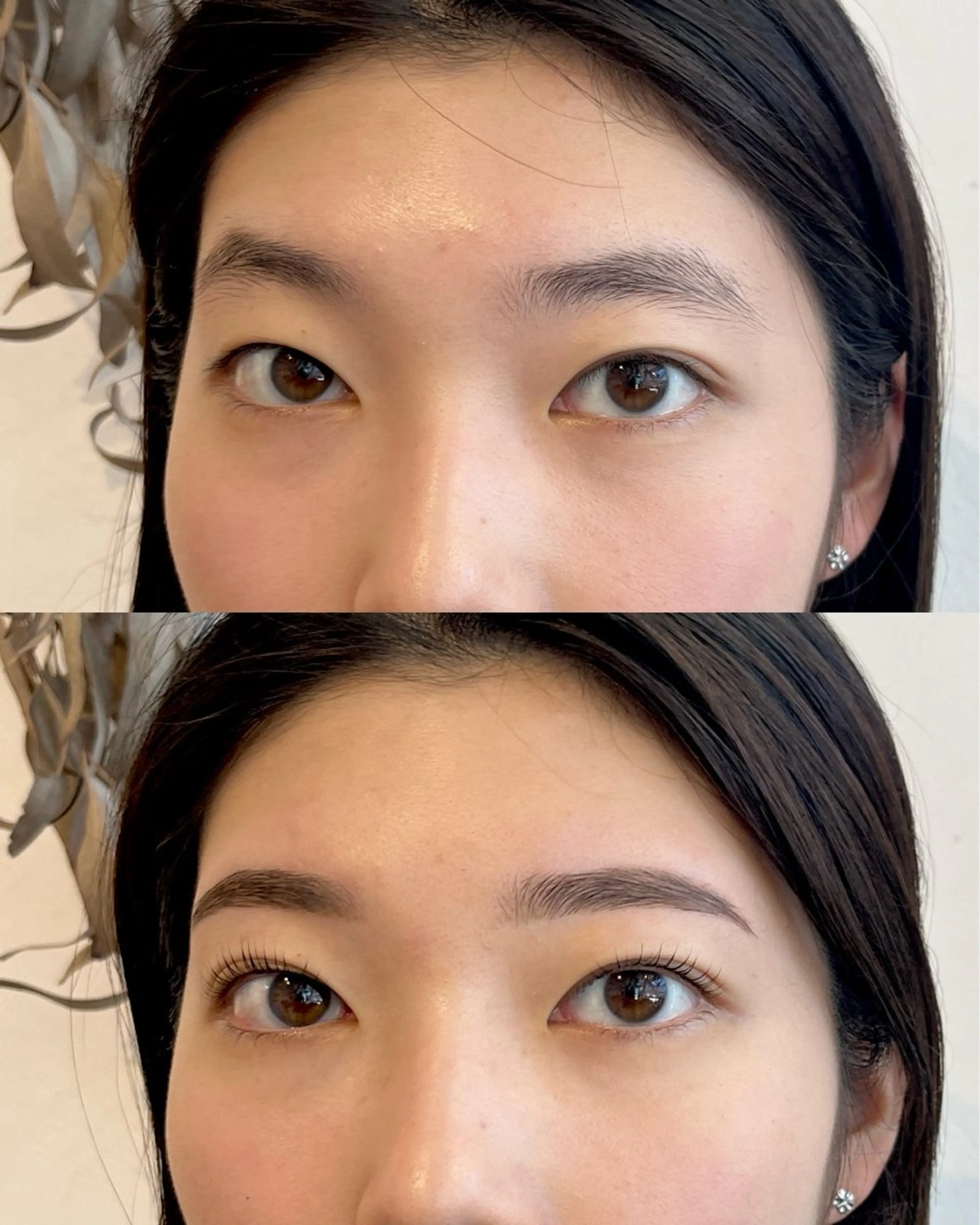 大人気　眉wax +まつ毛パーマ（上）通常価格¥9800→の写真