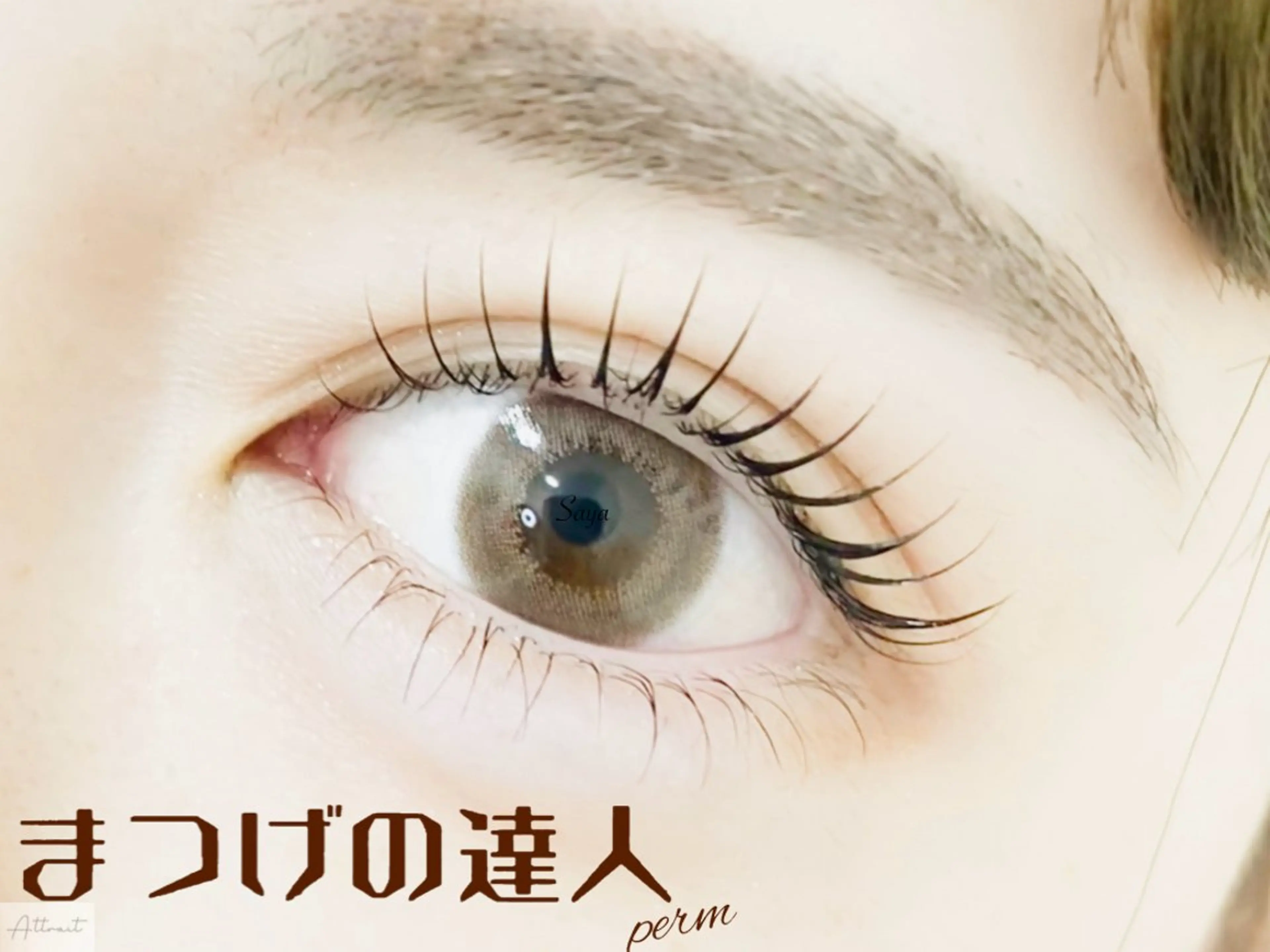 マツエク・マツパ マツパ Attrait Eye所属・Attrait Eye☻*Sayaのマツエク・マツパデザイン
