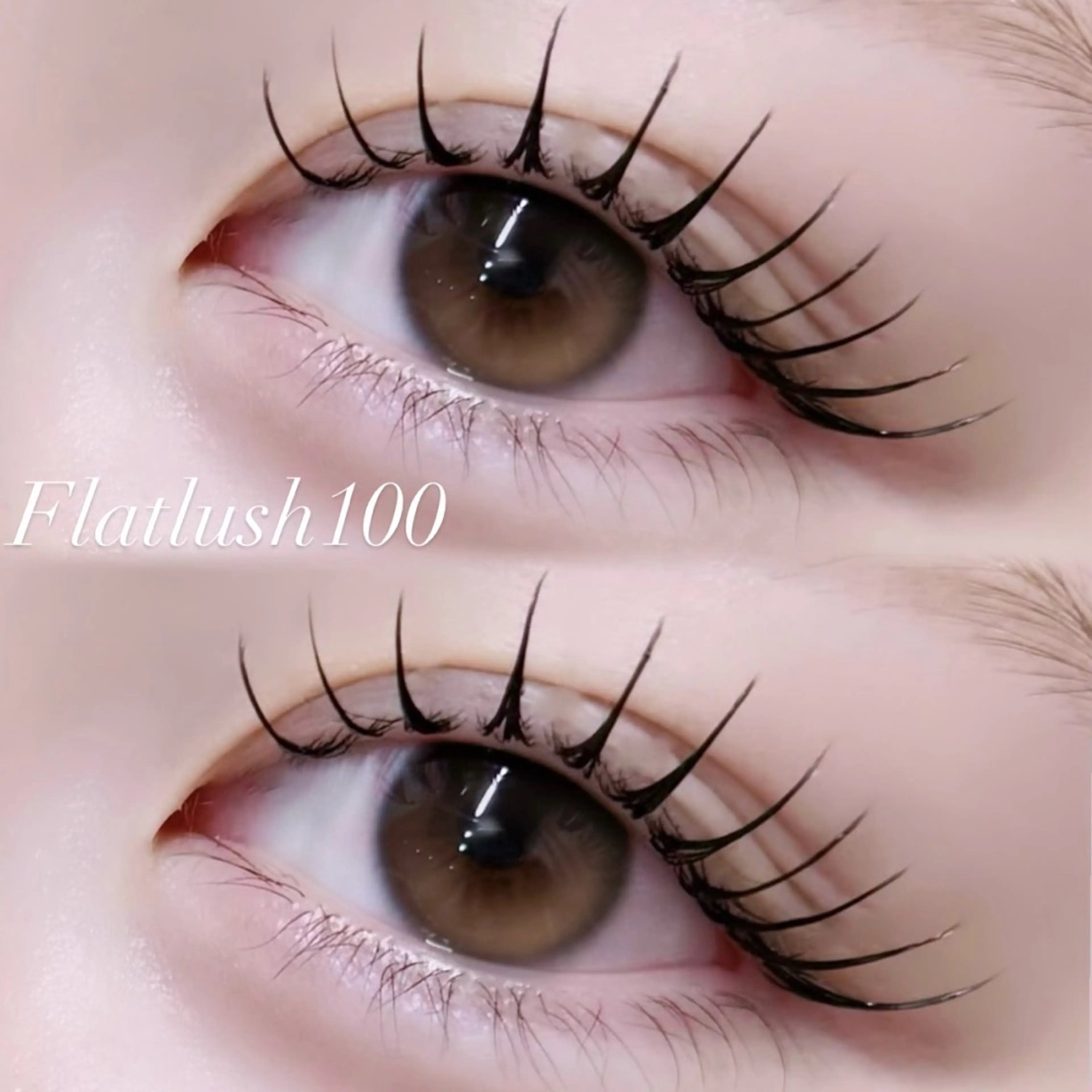 マツエク・マツパ マツエク iLa / Amina🌙♡のマツエク・マツパデザイン