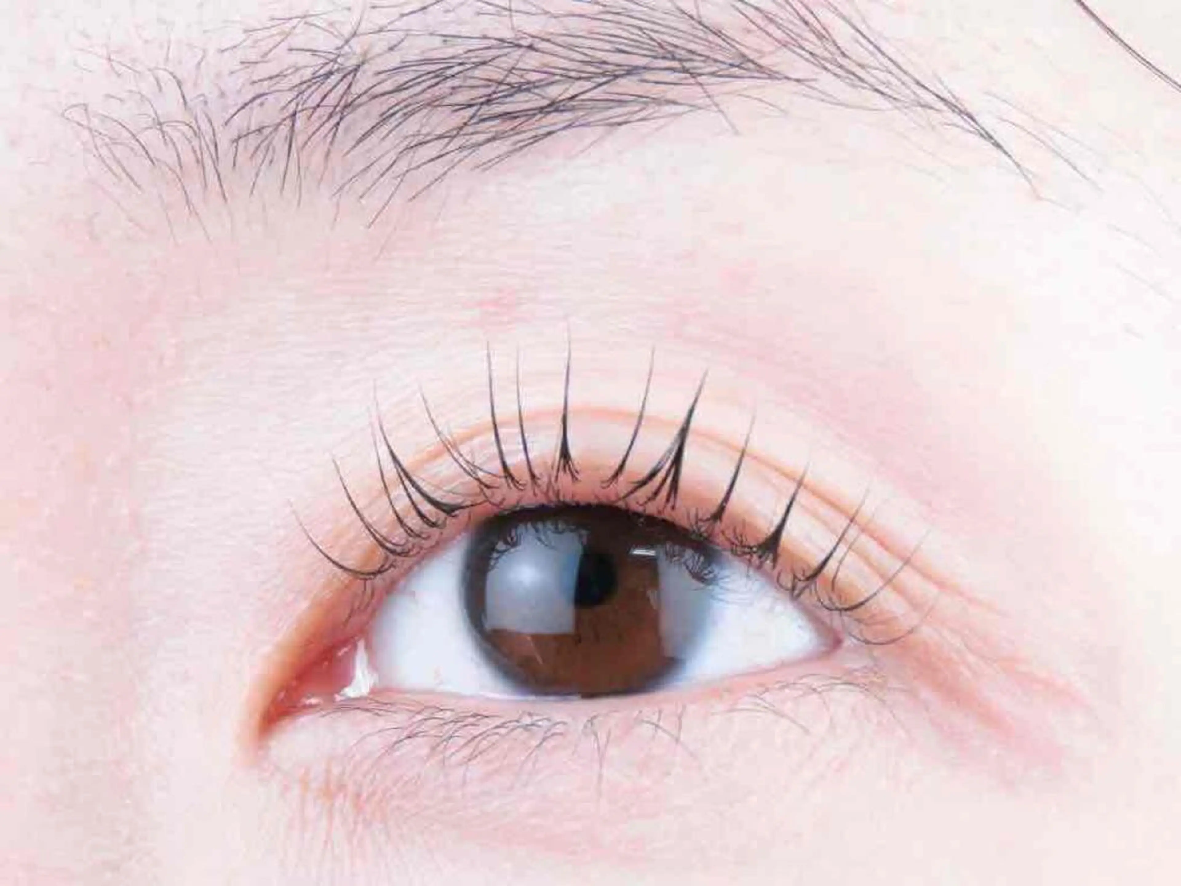 マツエク・マツパ マツパ R'ocoLush 恵比寿店江川のマツエク・マツパデザイン