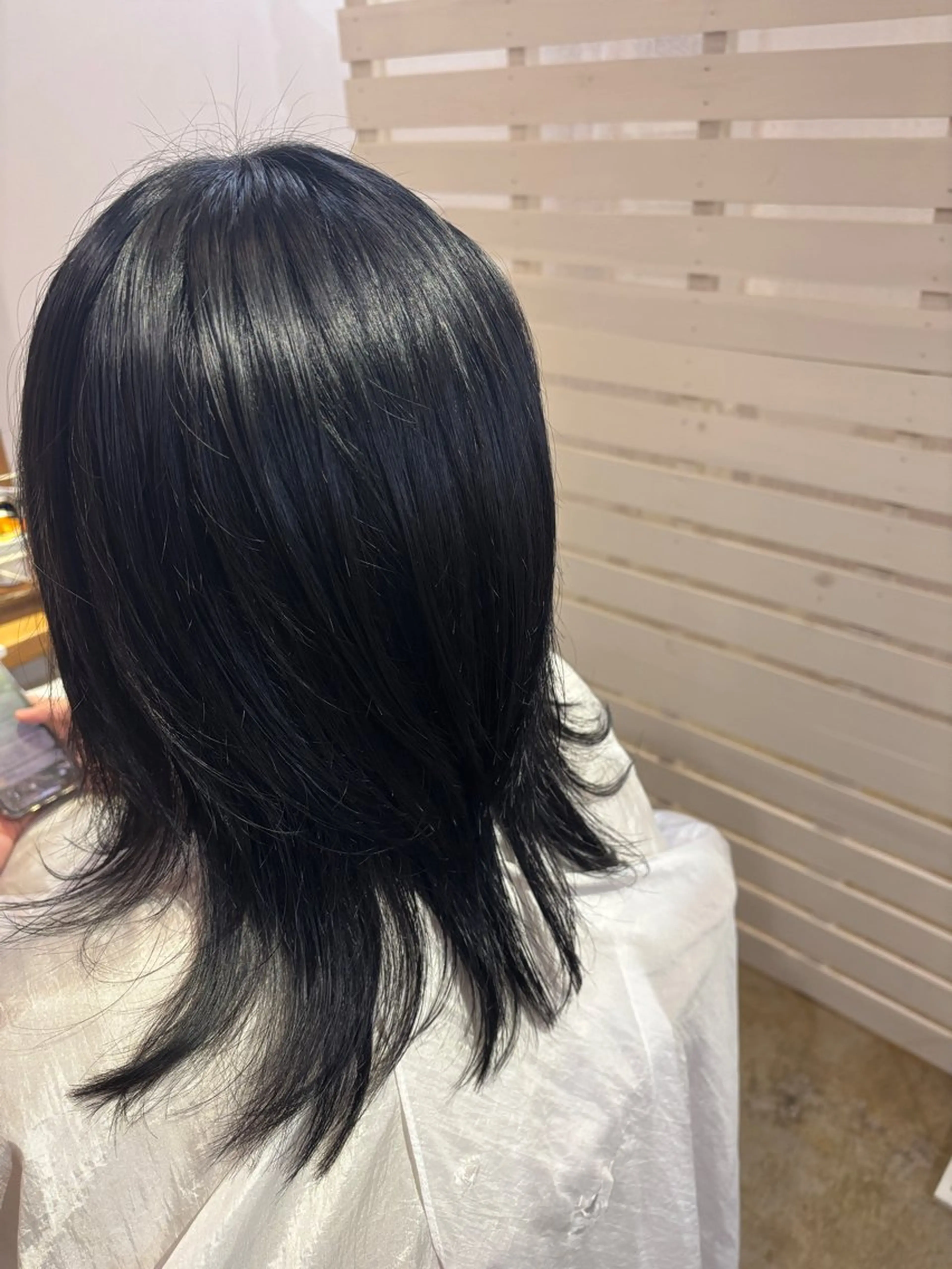 カラー 黒髪 ブルーカラー ブルーブラック hair room sheeps所属・tisaki ✨のヘアスタイル