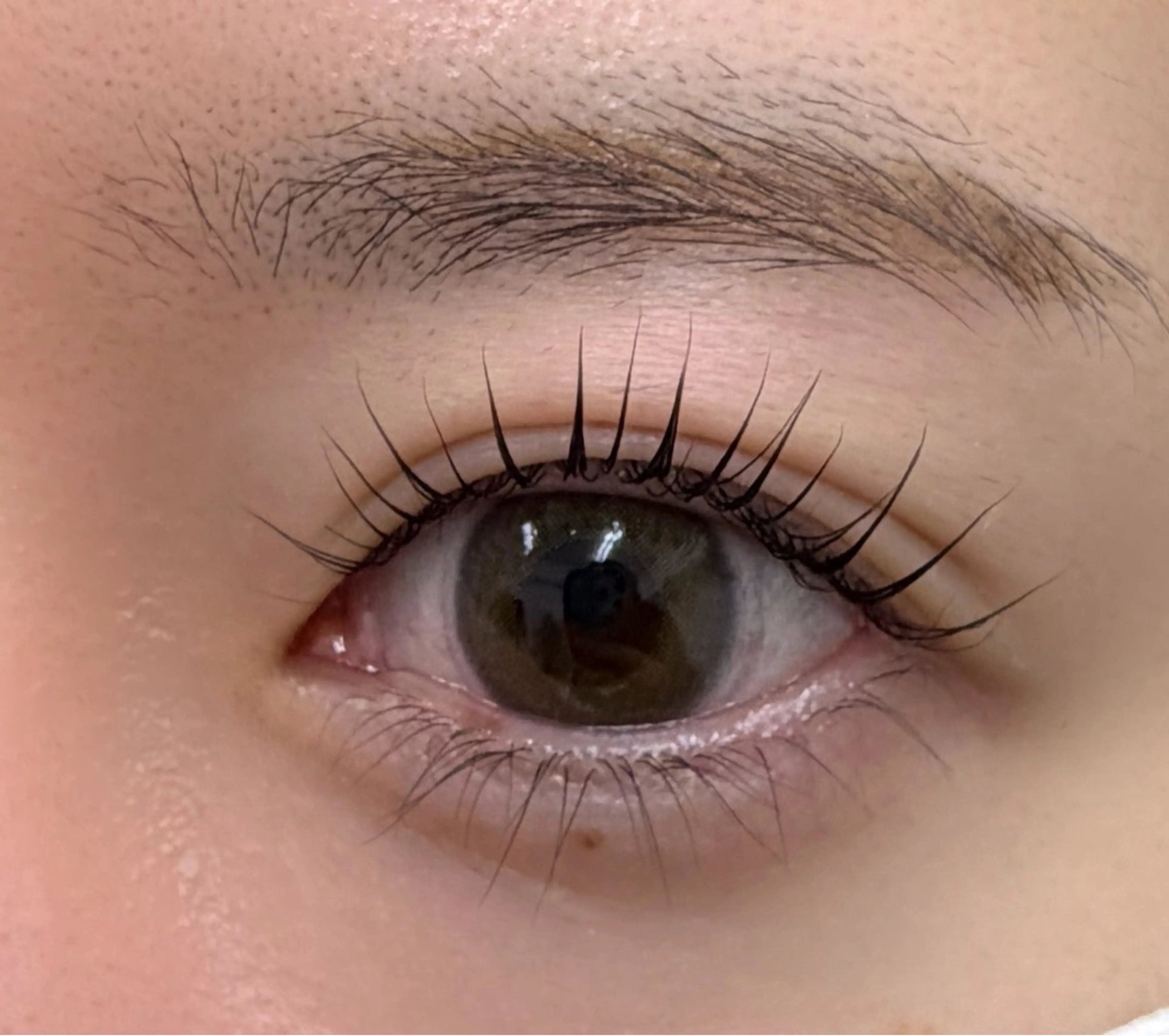 Lash lift 上下🫧の写真