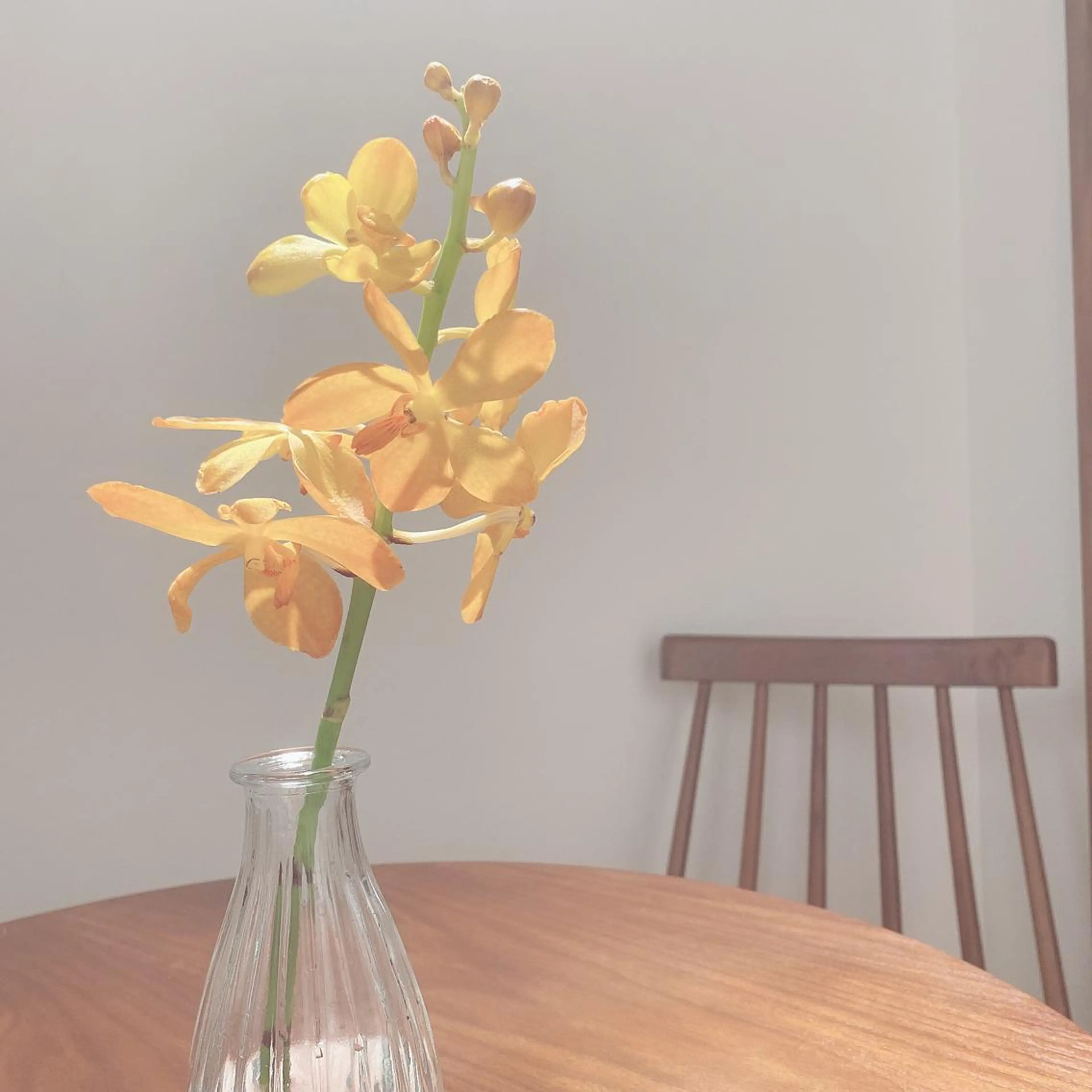 Lien eye salonのエステ・リラクイメージ