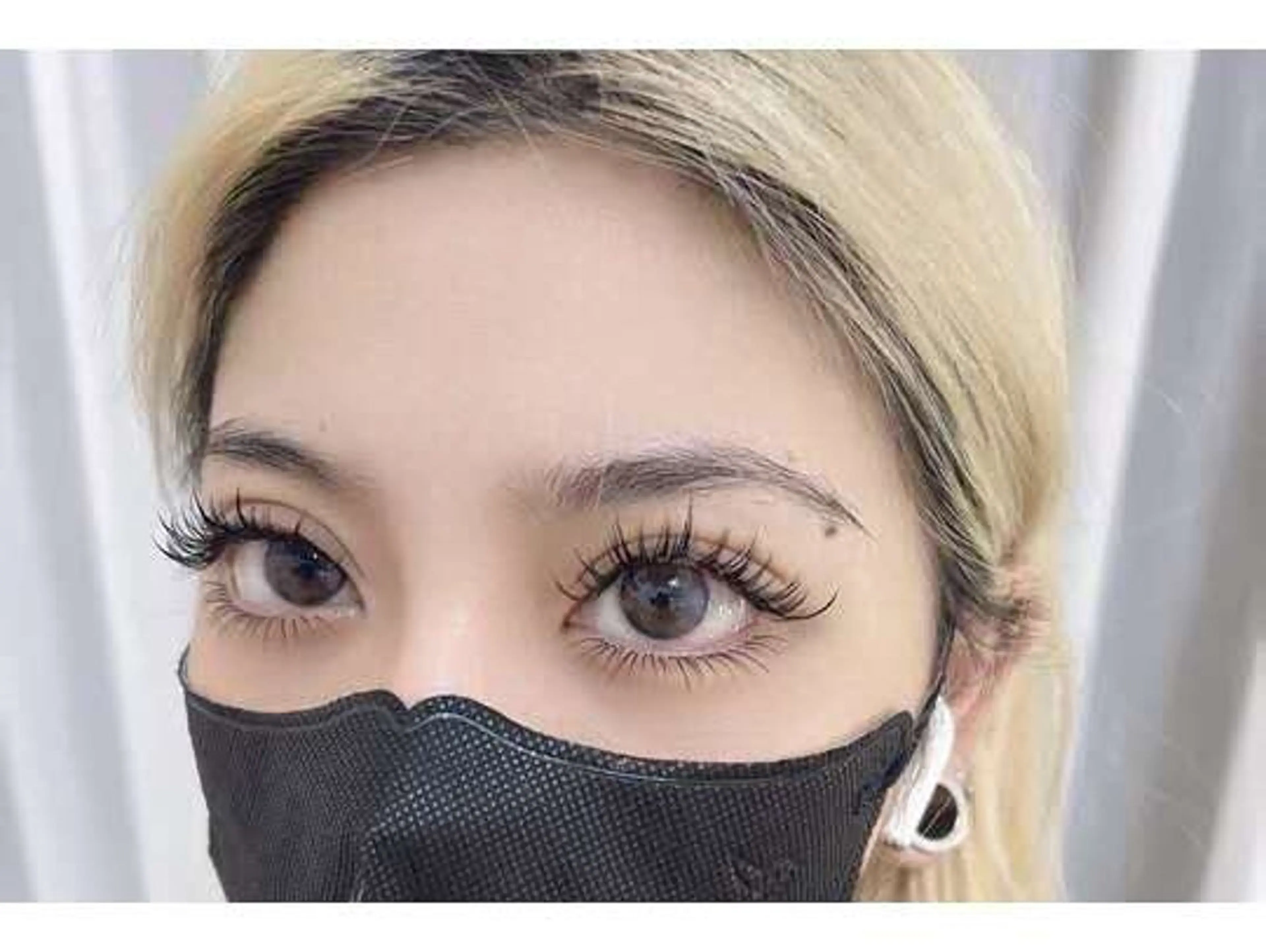 【モデル価格】ワンホン160束の写真