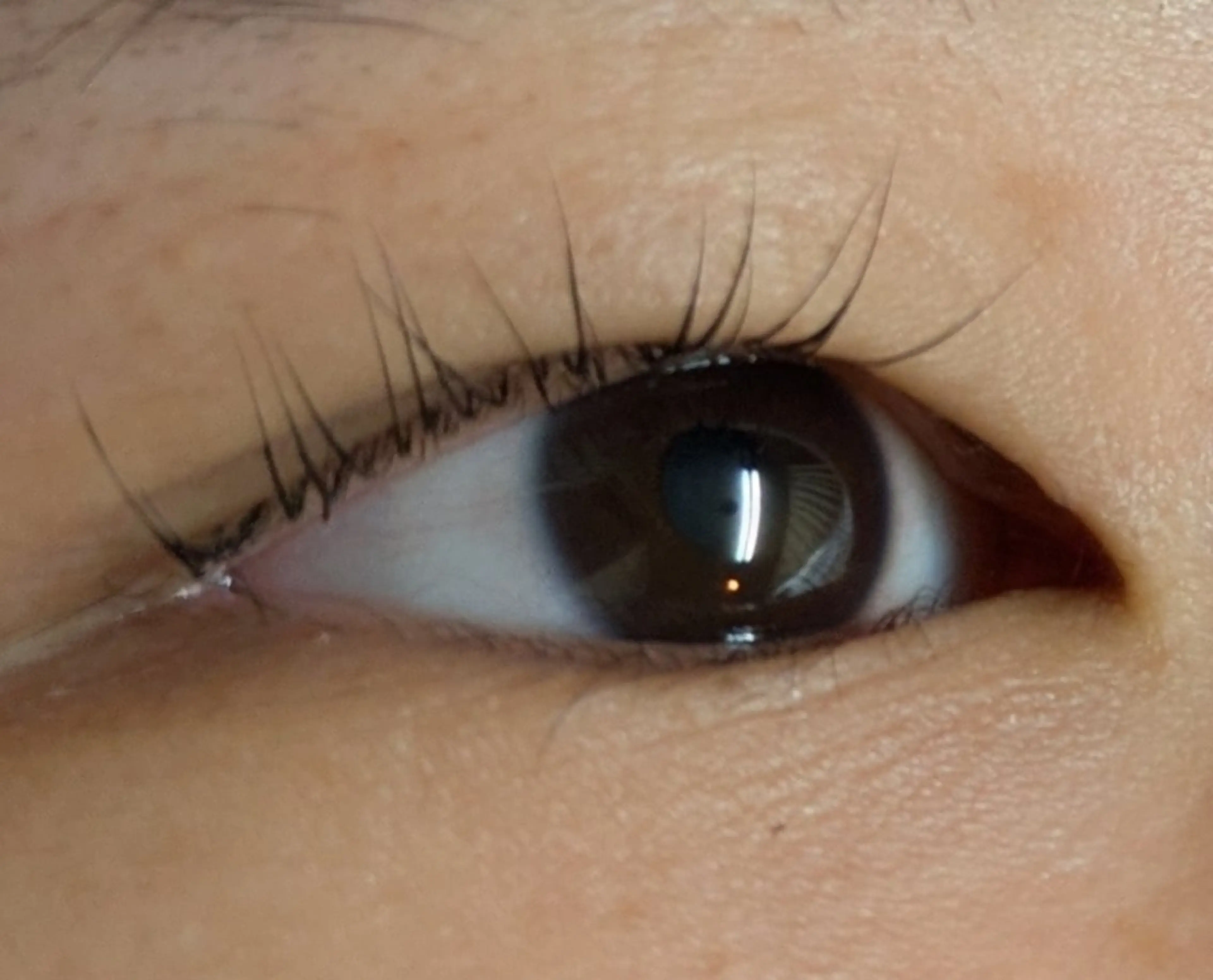 マツエク・マツパ マツエク ♡Saronica ♡のマツエク・マツパデザイン