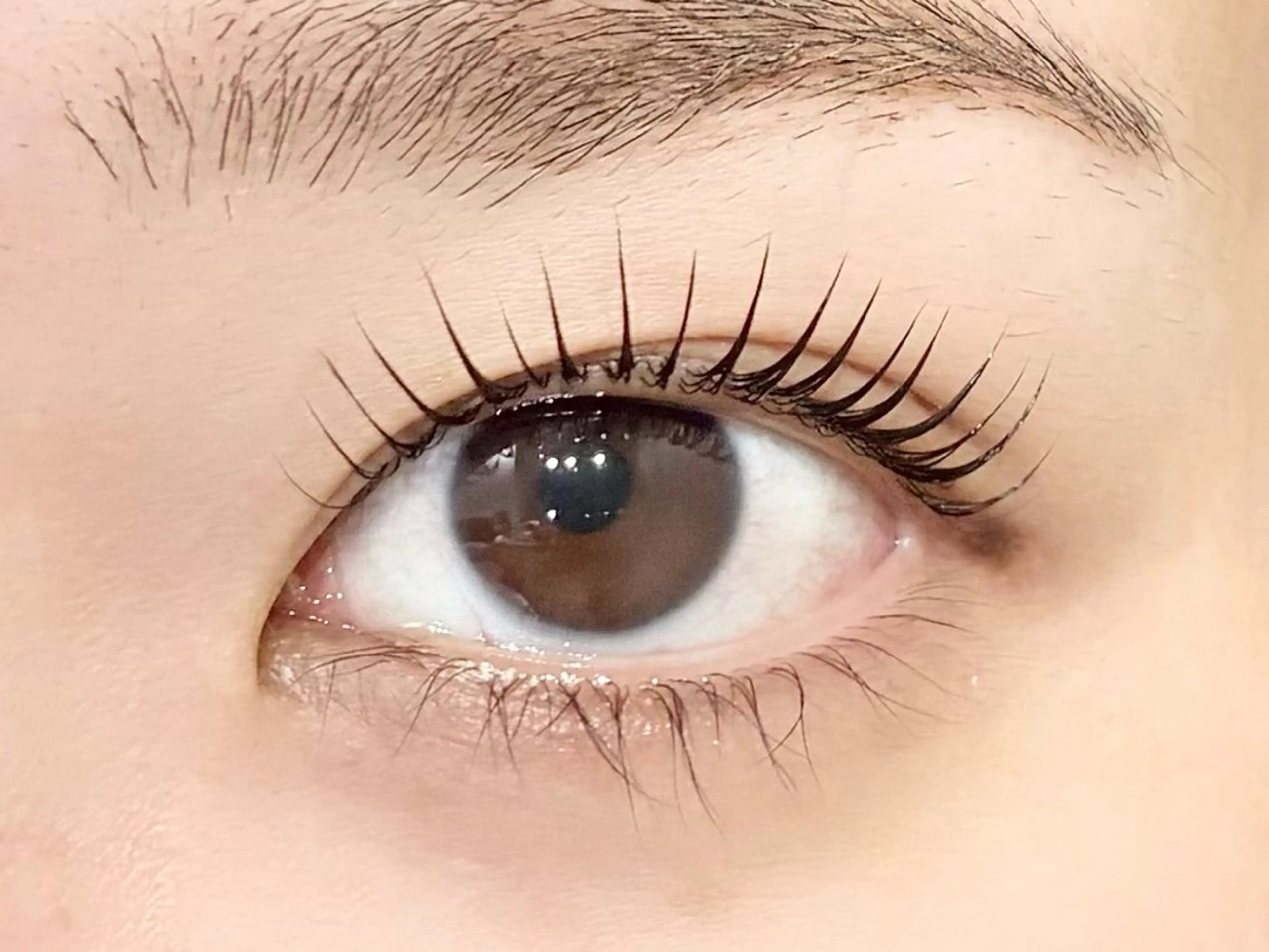 マツエク・マツパ パリジェンヌラッシュリフト マツパ アイラッシュサロン【エフドゥ】所属・中村彩香 (エフドゥ)のマツエク・マツパデザイン