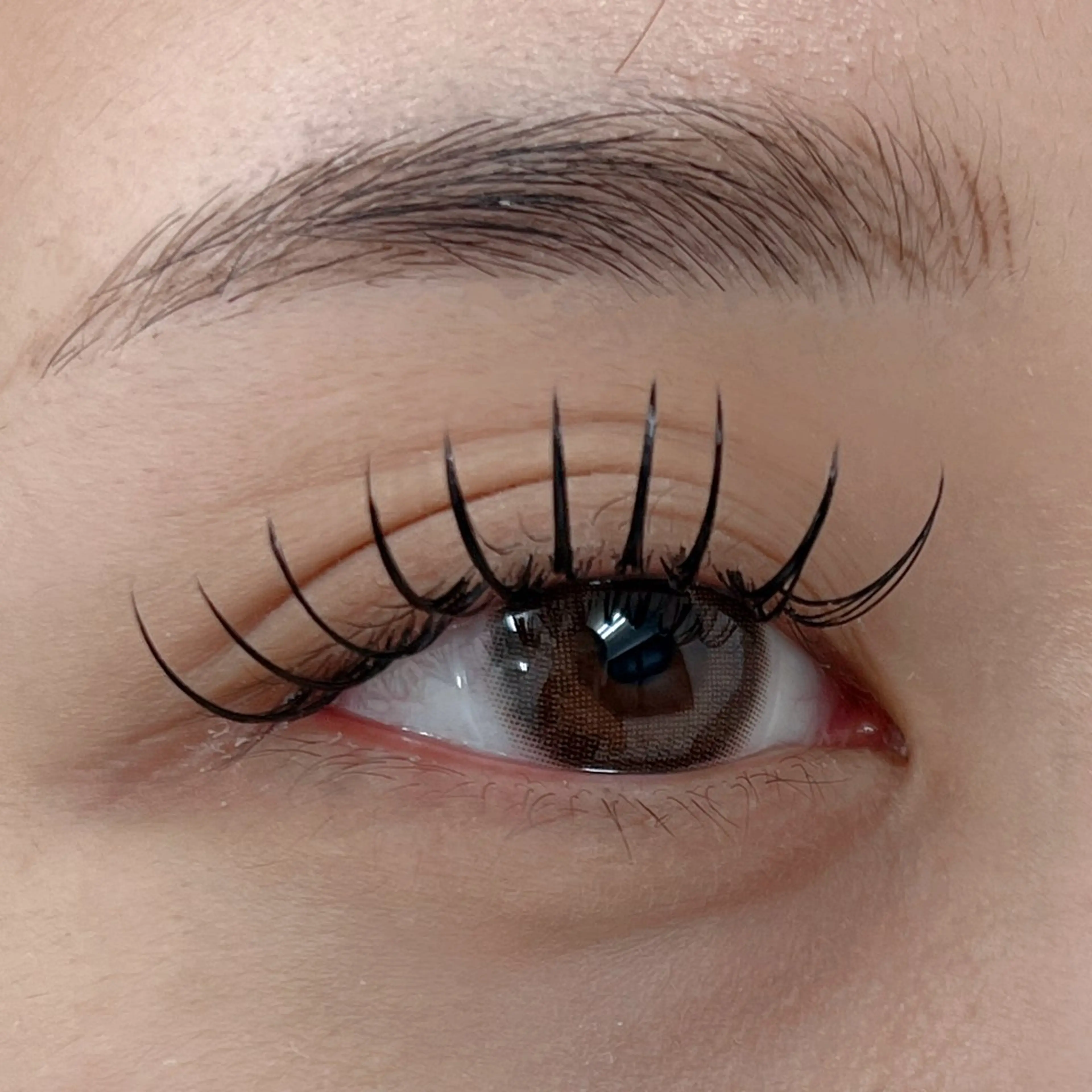 マツエク・マツパ 束感まつ毛 フラットラッシュ サクラ Bianca市川店のマツエク・マツパデザイン
