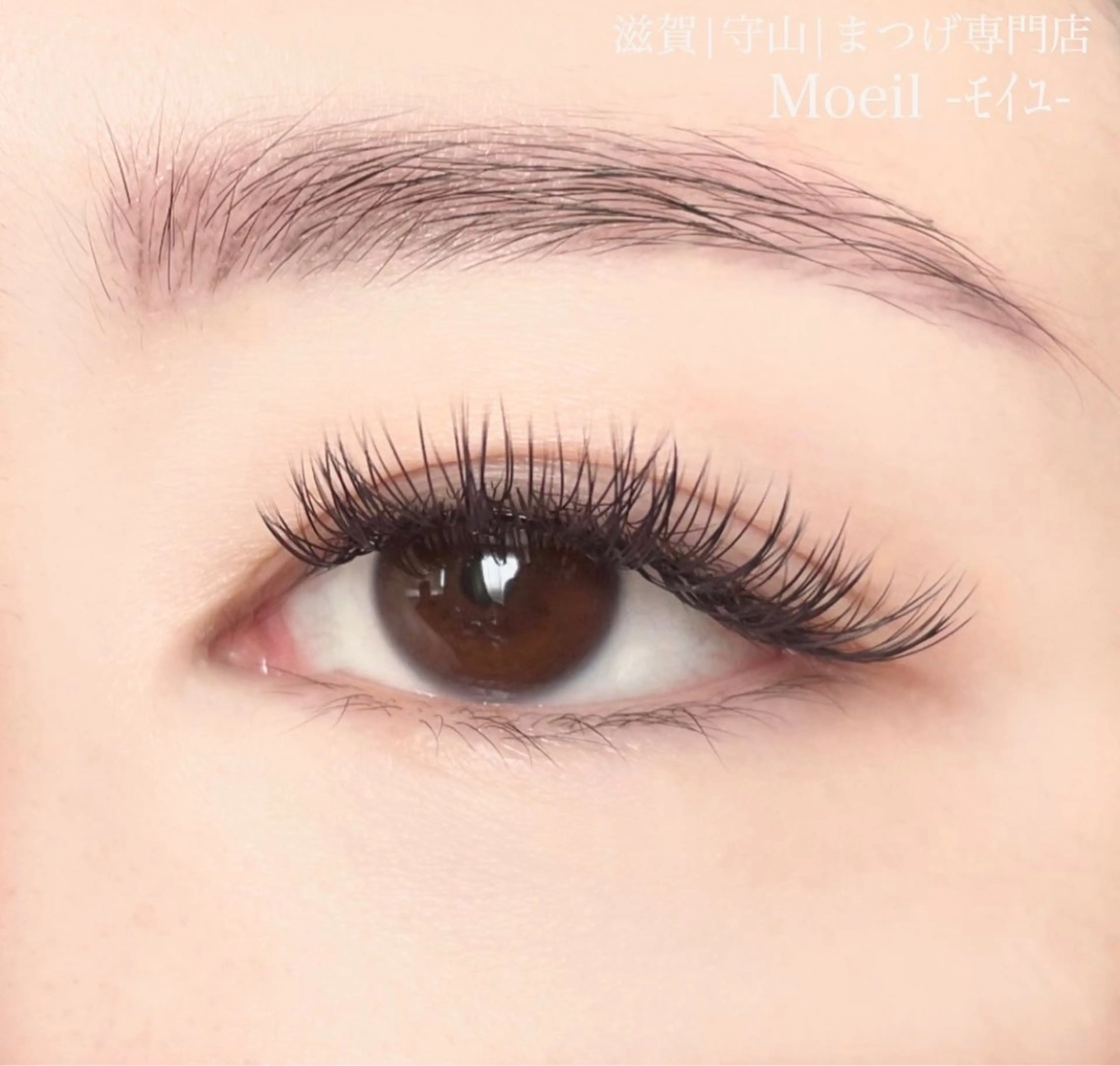 マツエク・マツパ フラットラッシュ マツエク Moeil(ﾓｲﾕ)所属・Moeil. /ﾓｲﾕのマツエク・マツパデザイン