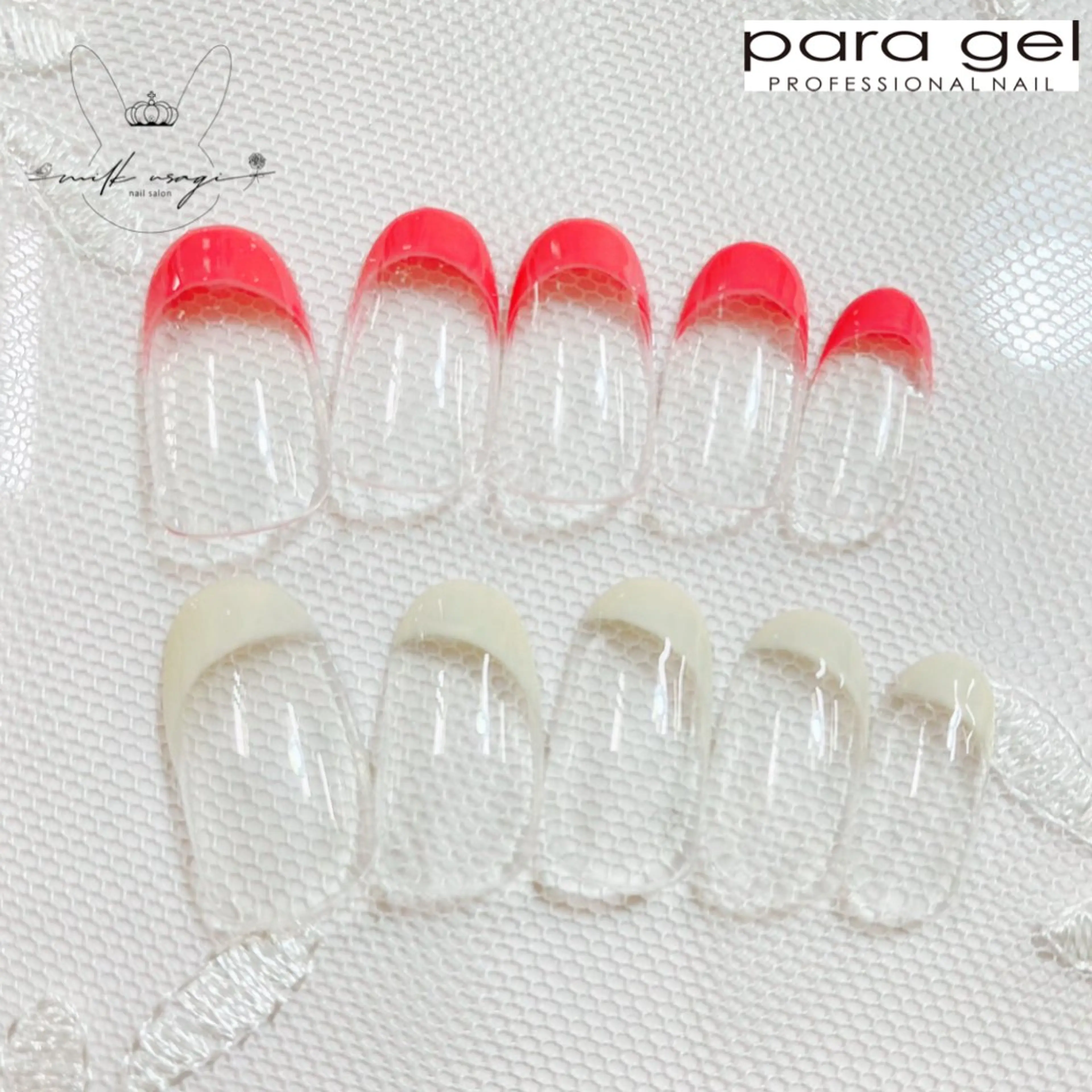 パラジェルフレンチの写真