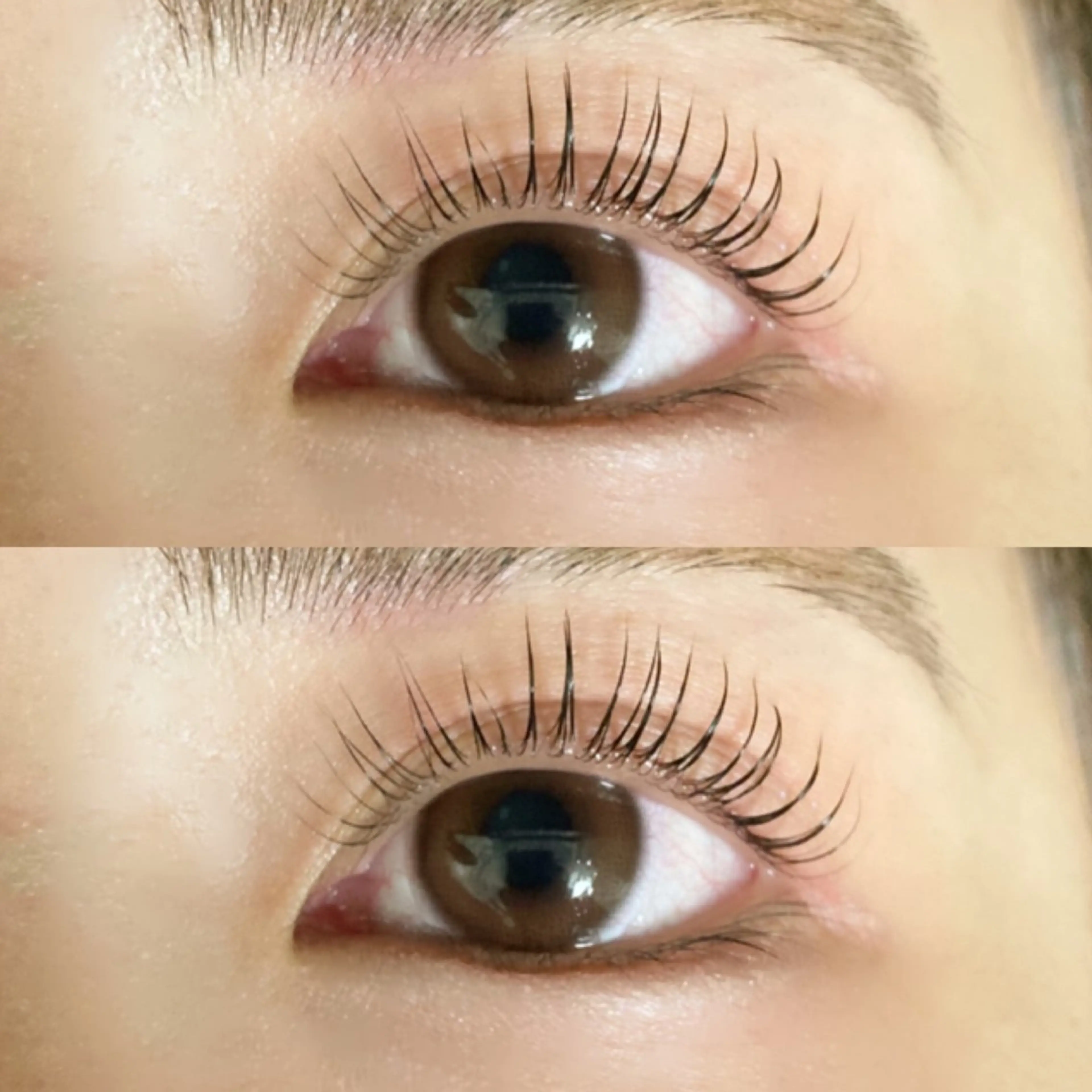 【カウンセリング/ケア/潤いトリートメント/コーティング込】ラッシュリフト上（まつ毛パーマ）の写真