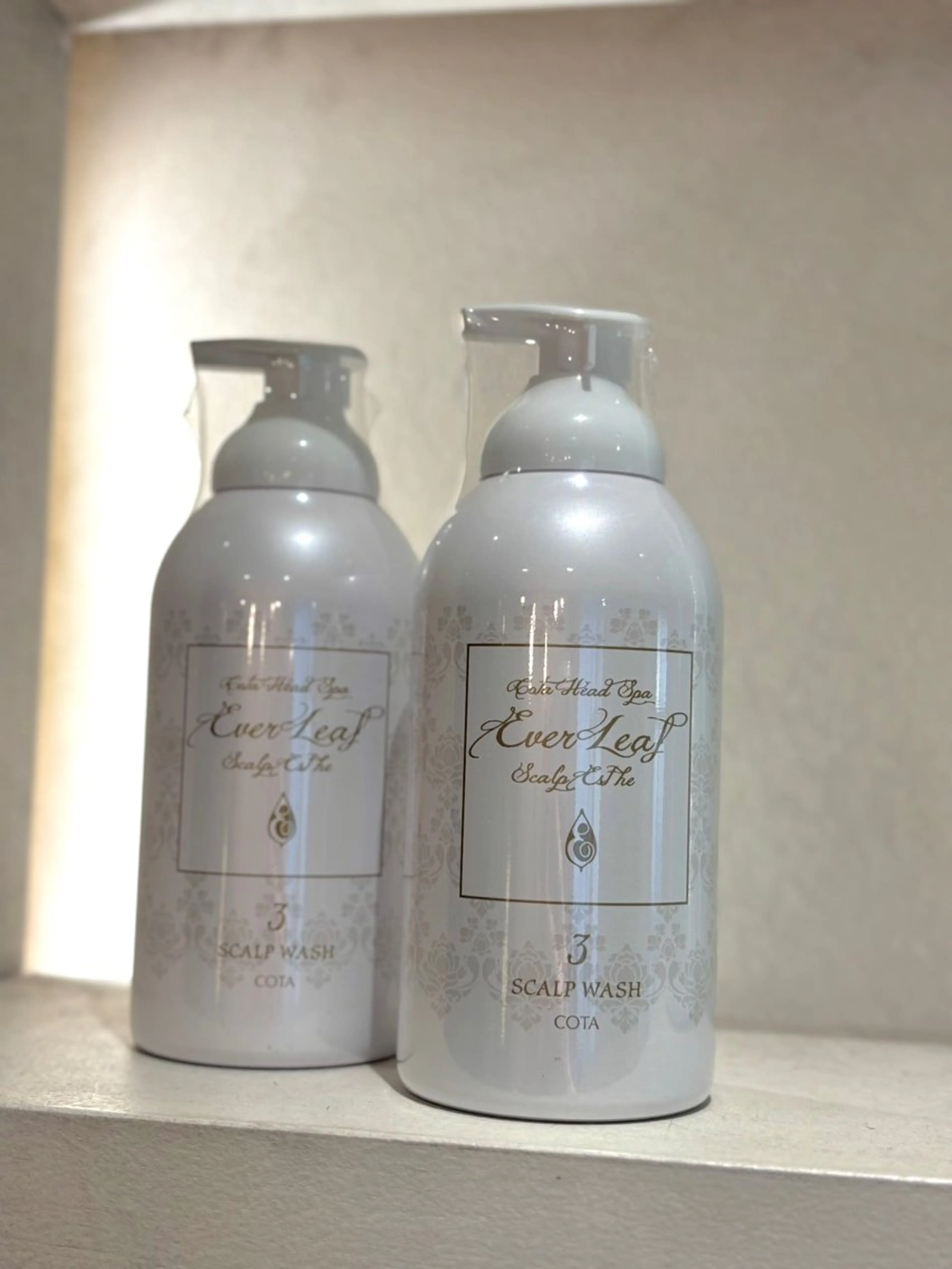 整体スパの写真