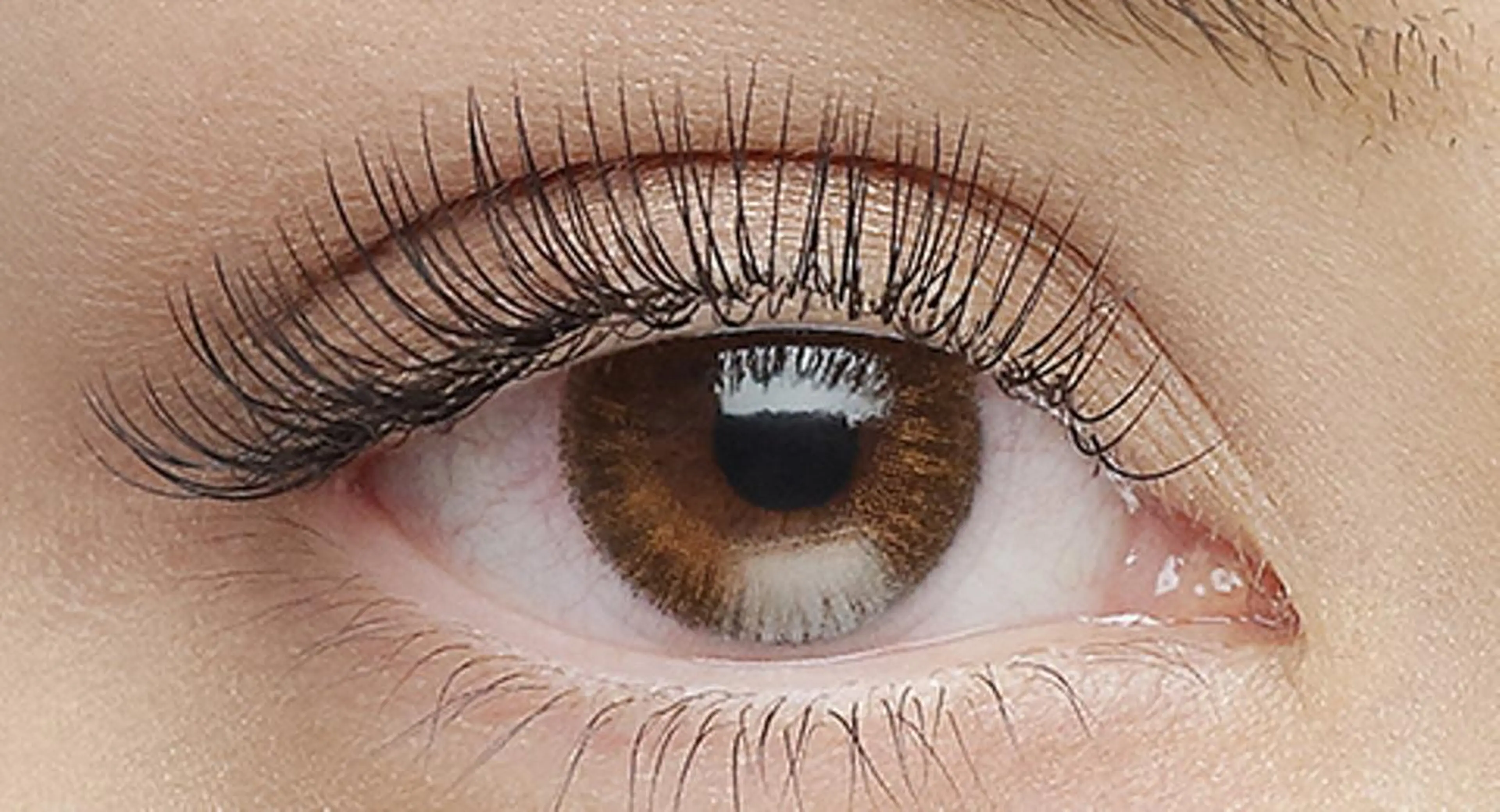 🐾新規・しっかりボリューム❤︎フラットラッシュ高級セーブル140本オフ無料❤︎の写真