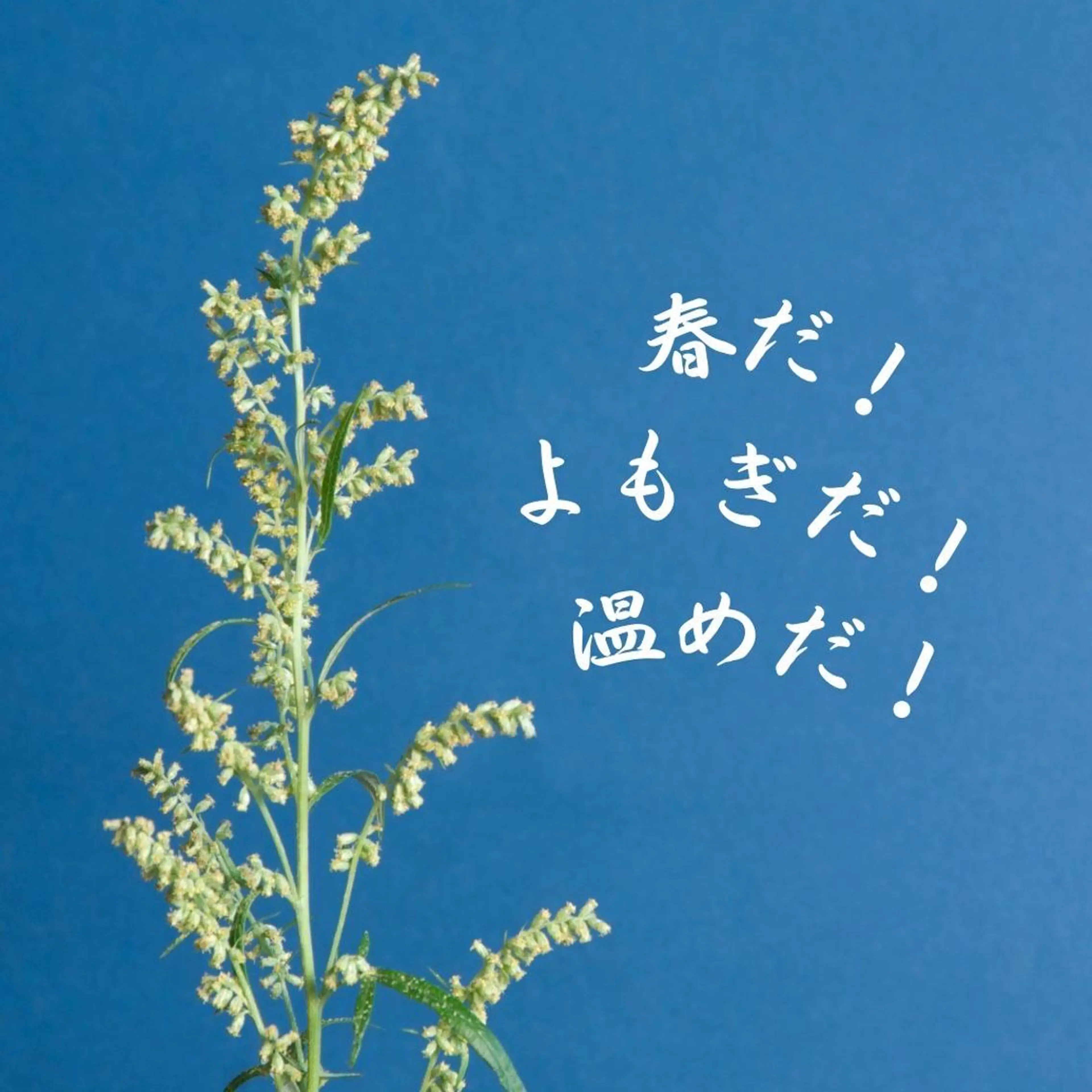 ミディアム カラー パーマ ヘアアレンジ メンズ キッズ ネイル マツエク・マツパ アイブロウ 触れたくなる モテ肌へ...❤︎のエステ・リラクイメージ