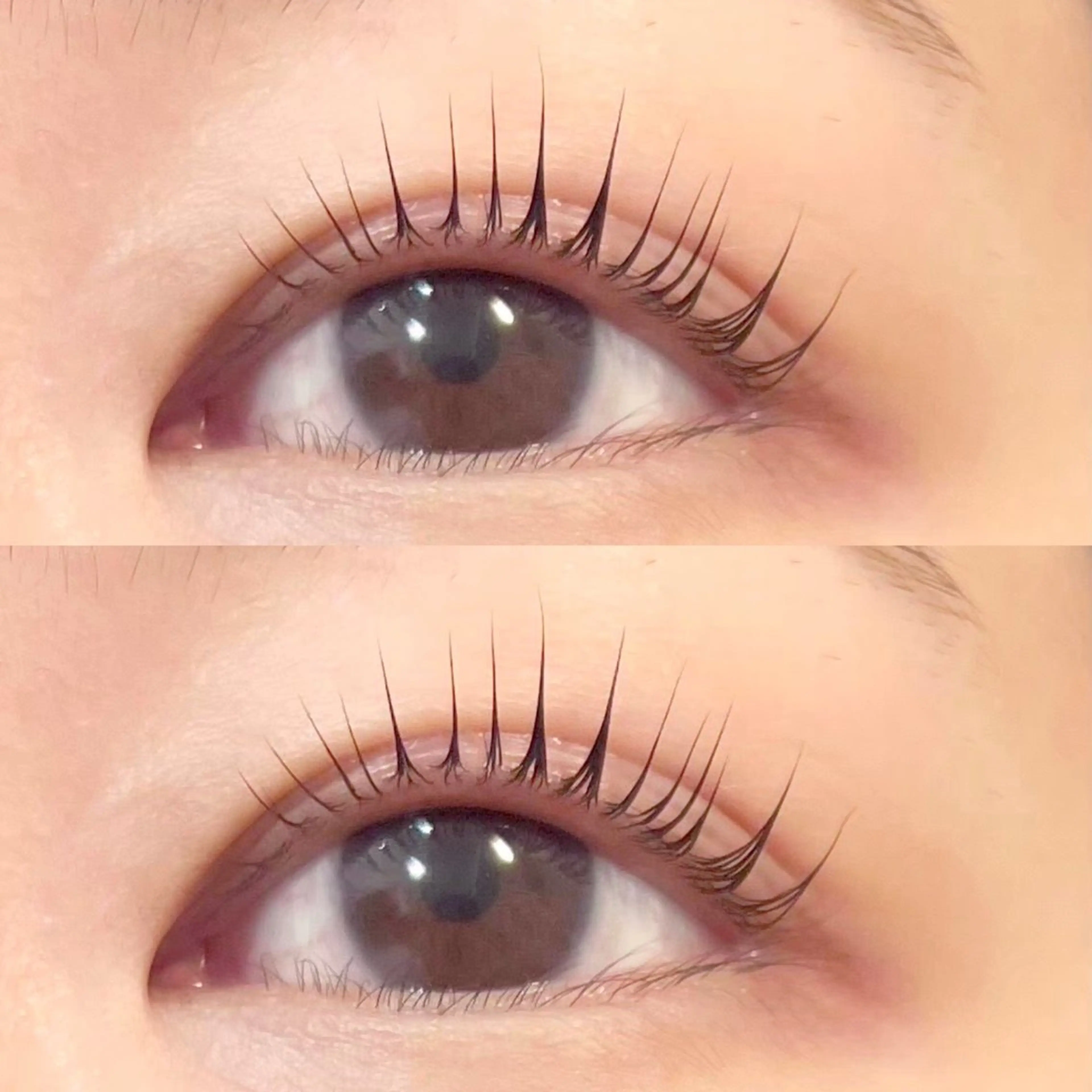 次世代パリジェヌ＋高級 BK treatment付🫧の写真