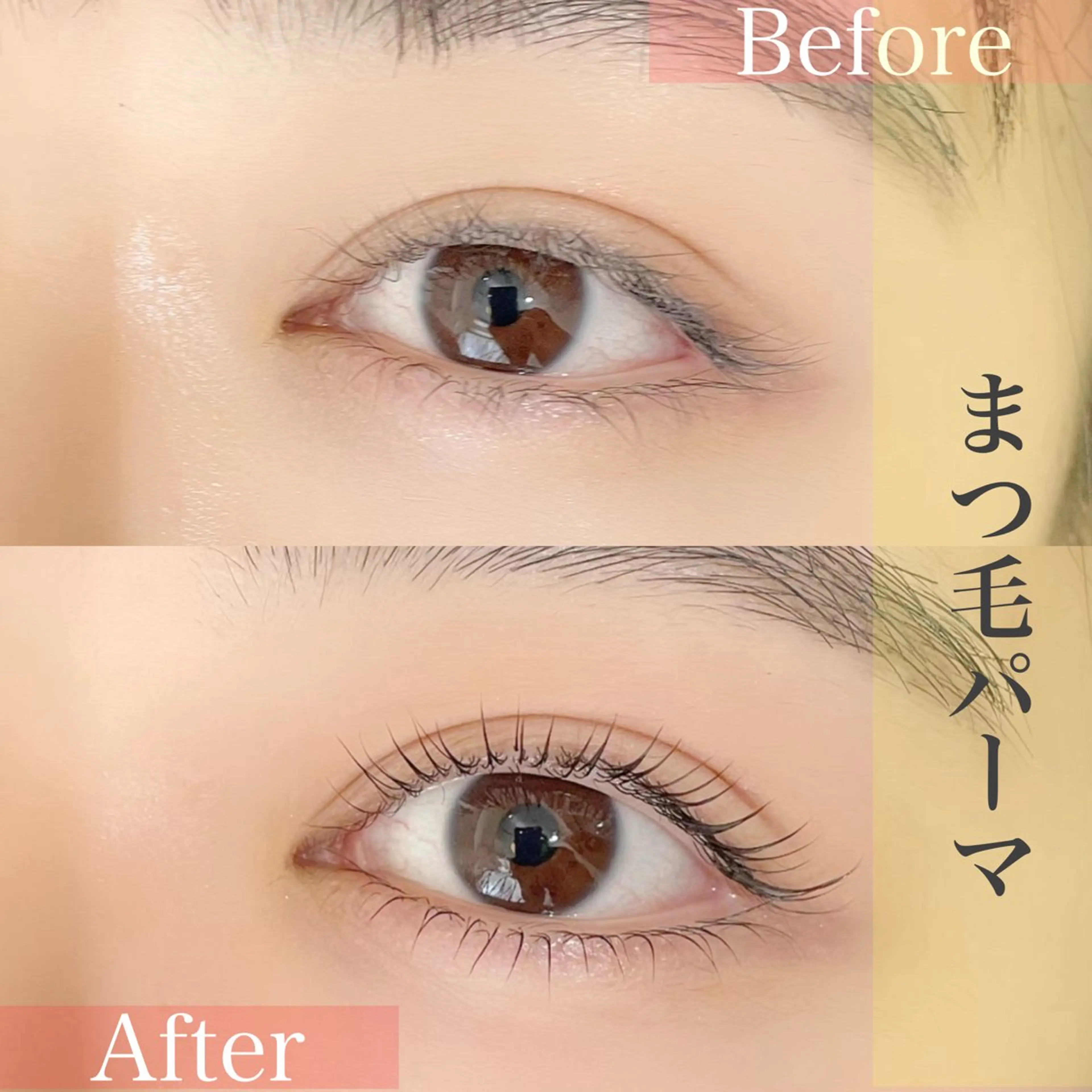 マツエク・マツパ 下まつげエクステ 一重×まつ毛パーマ RIM 🕊️ 恵比寿／ジュニアのマツエク・マツパデザイン