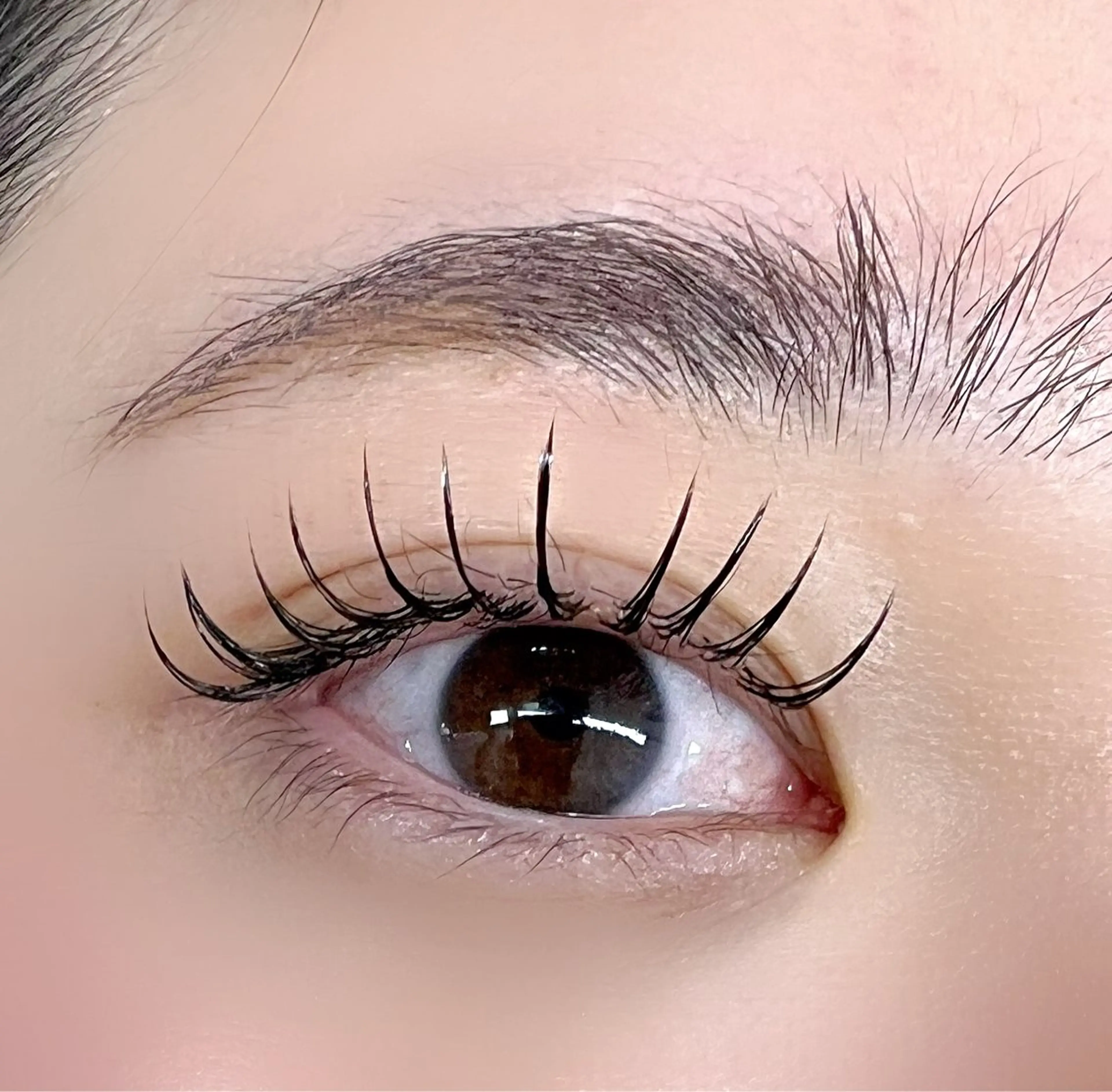 マツエク・マツパ マツエク FLY NAIL&Eyelash Salon 梅田店所属・YUKI FUKUMARUのマツエク・マツパデザイン