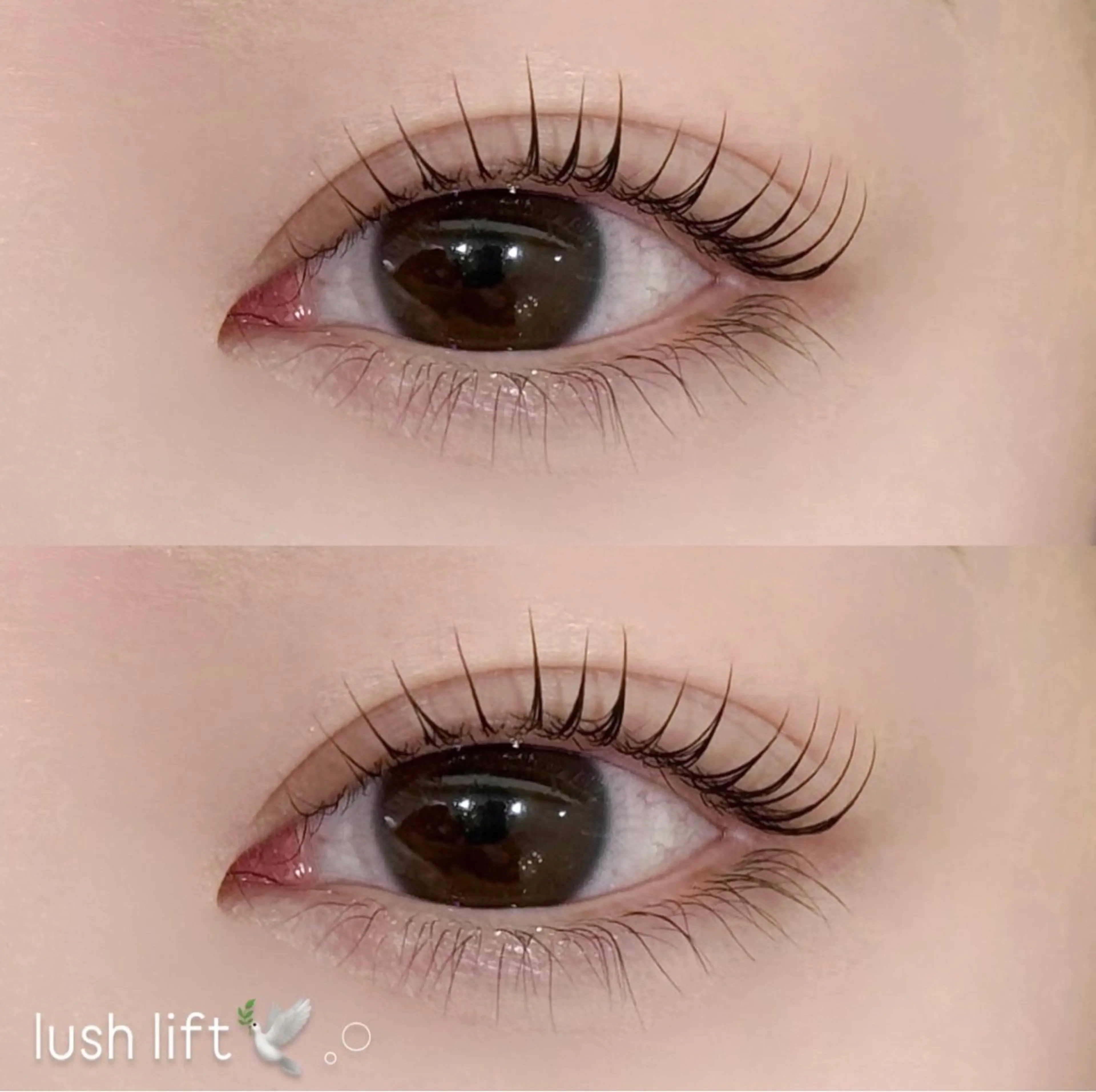 マツエク・マツパ Une fleur soraのマツエク・マツパデザイン