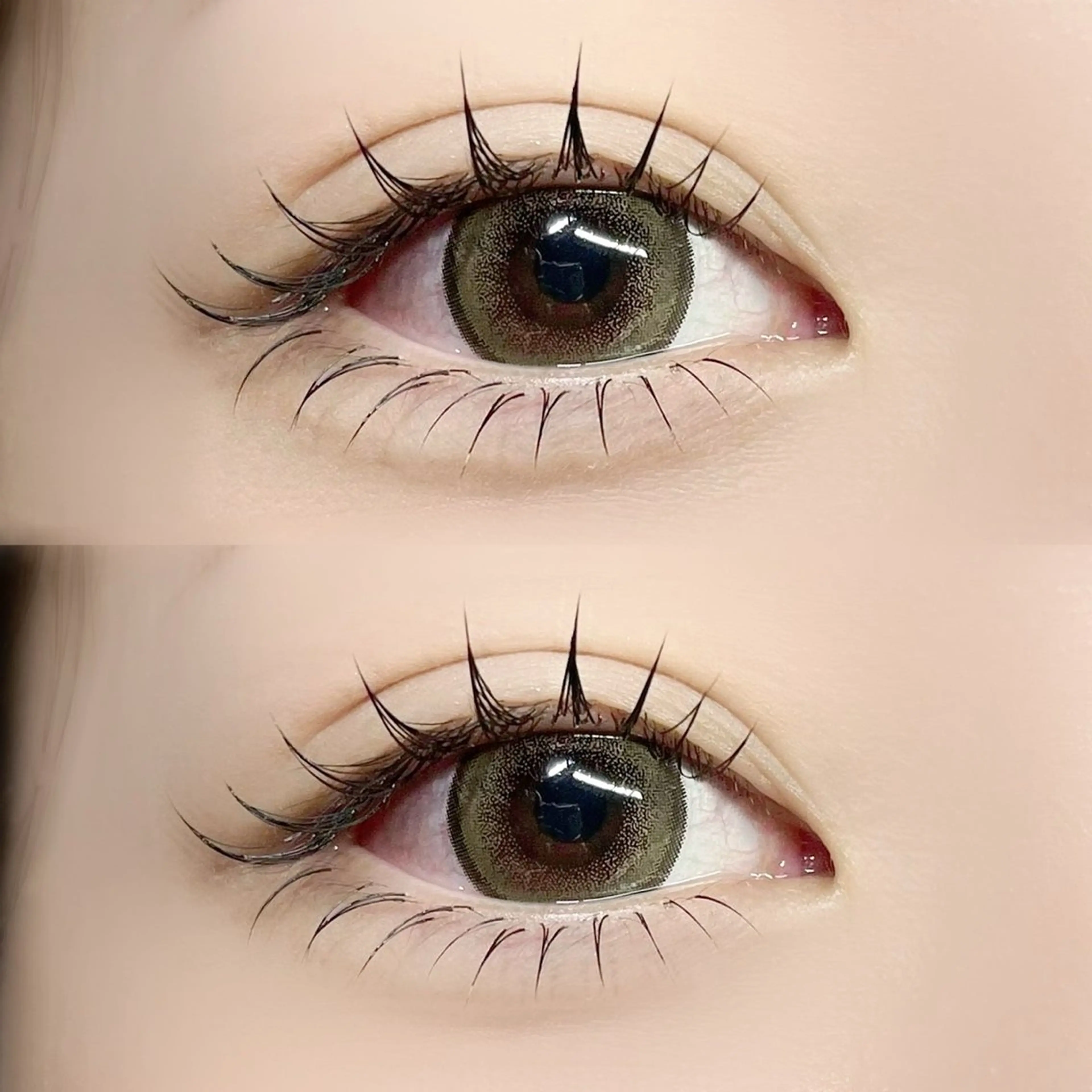 【期間限定】セーブル/フラット120本までつけ放題！の写真