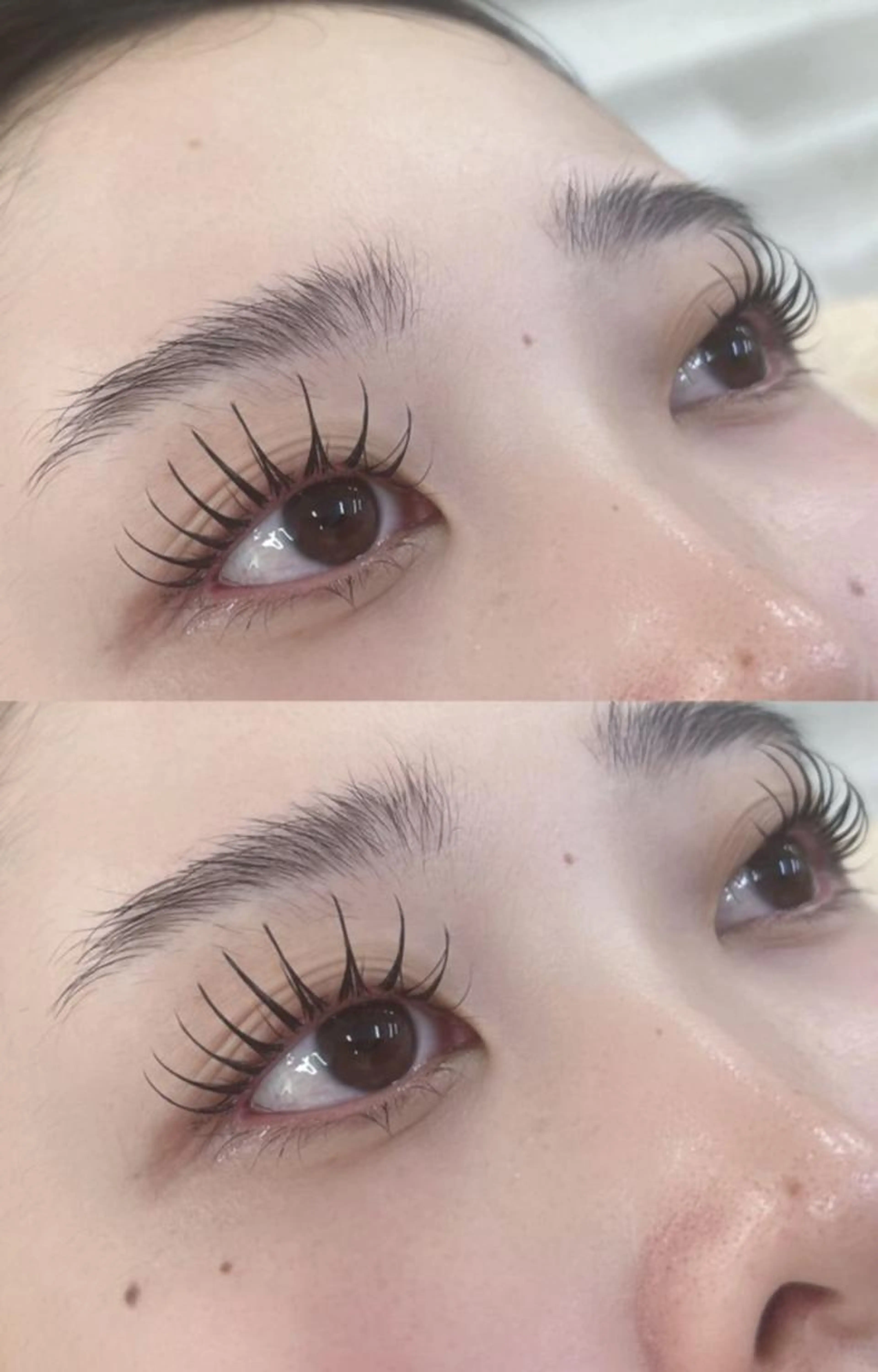 ＆healthy🖤マツエク​〜​120本＋まつ毛パーマ上のみ🖤渋谷の写真
