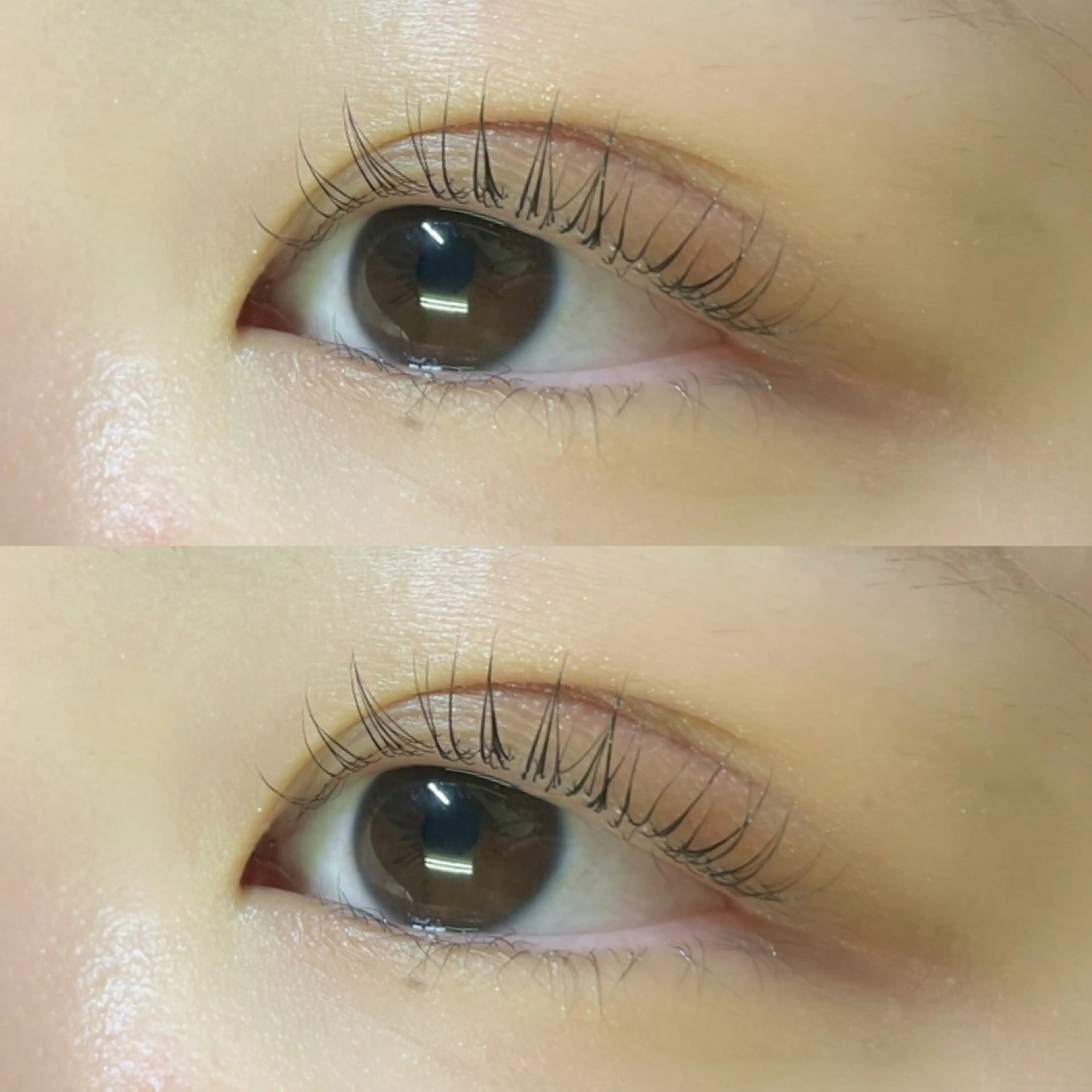 マツエク・マツパ マツパ リフュージュ　隠れ家所属・リフュージュ🌷 カホのマツエク・マツパデザイン